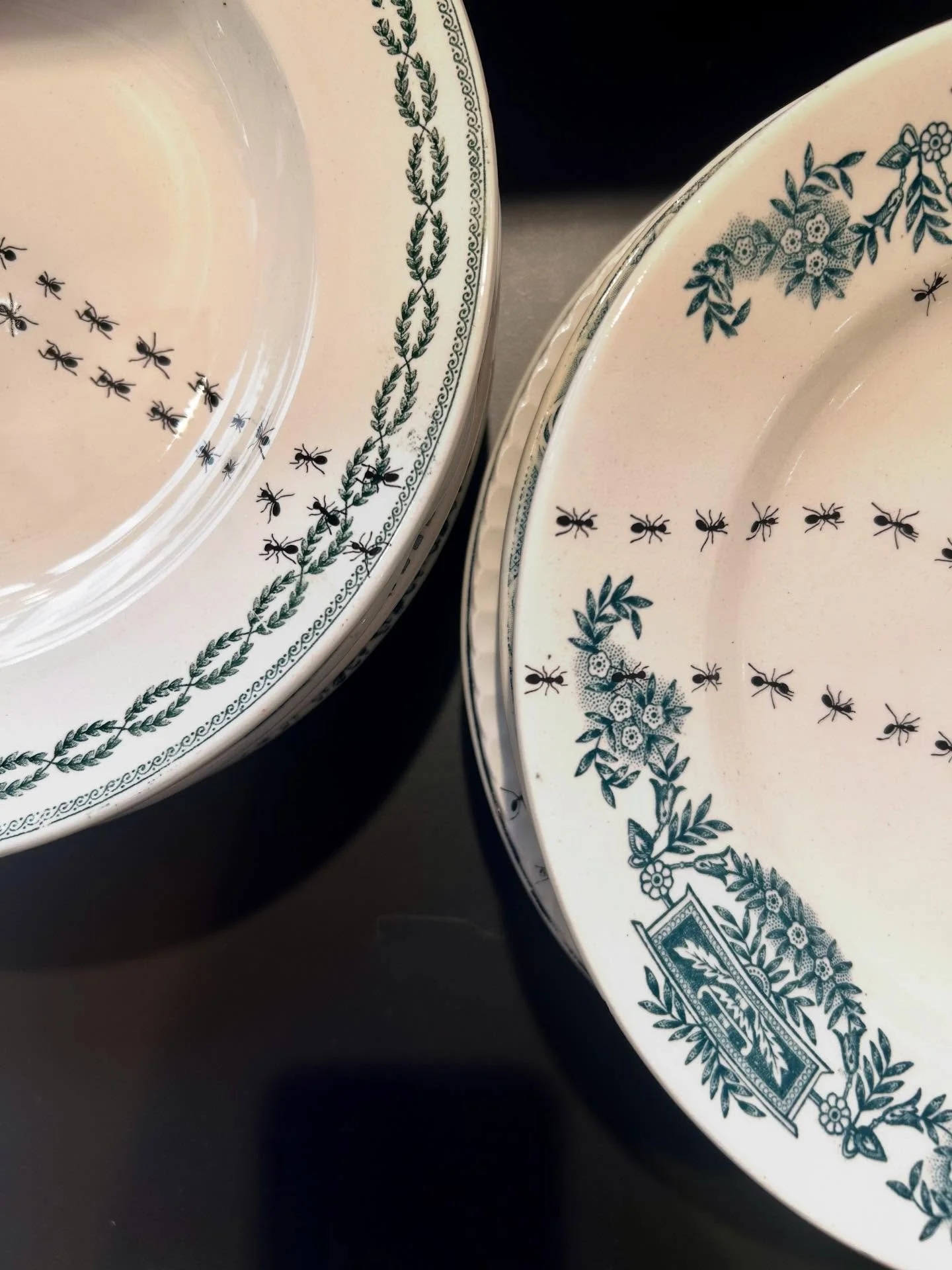 musette shop inspiriert von einer &laquo;&nbsp;Entomologin&nbsp;&raquo;?