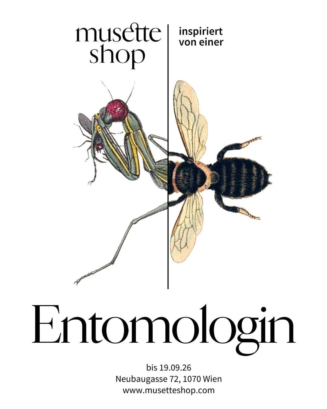 musette shop inspiriert von einer Entomologin. Entomologin? Insektenforscherin! Denn wir untersch&auml;tzen gewaltig, welche Rolle diese Tiere f&uuml;r das Gleichgewicht unseres Planeten spielen. Insekten stellen &ndash; gemessen an ihrer Biomasse, d