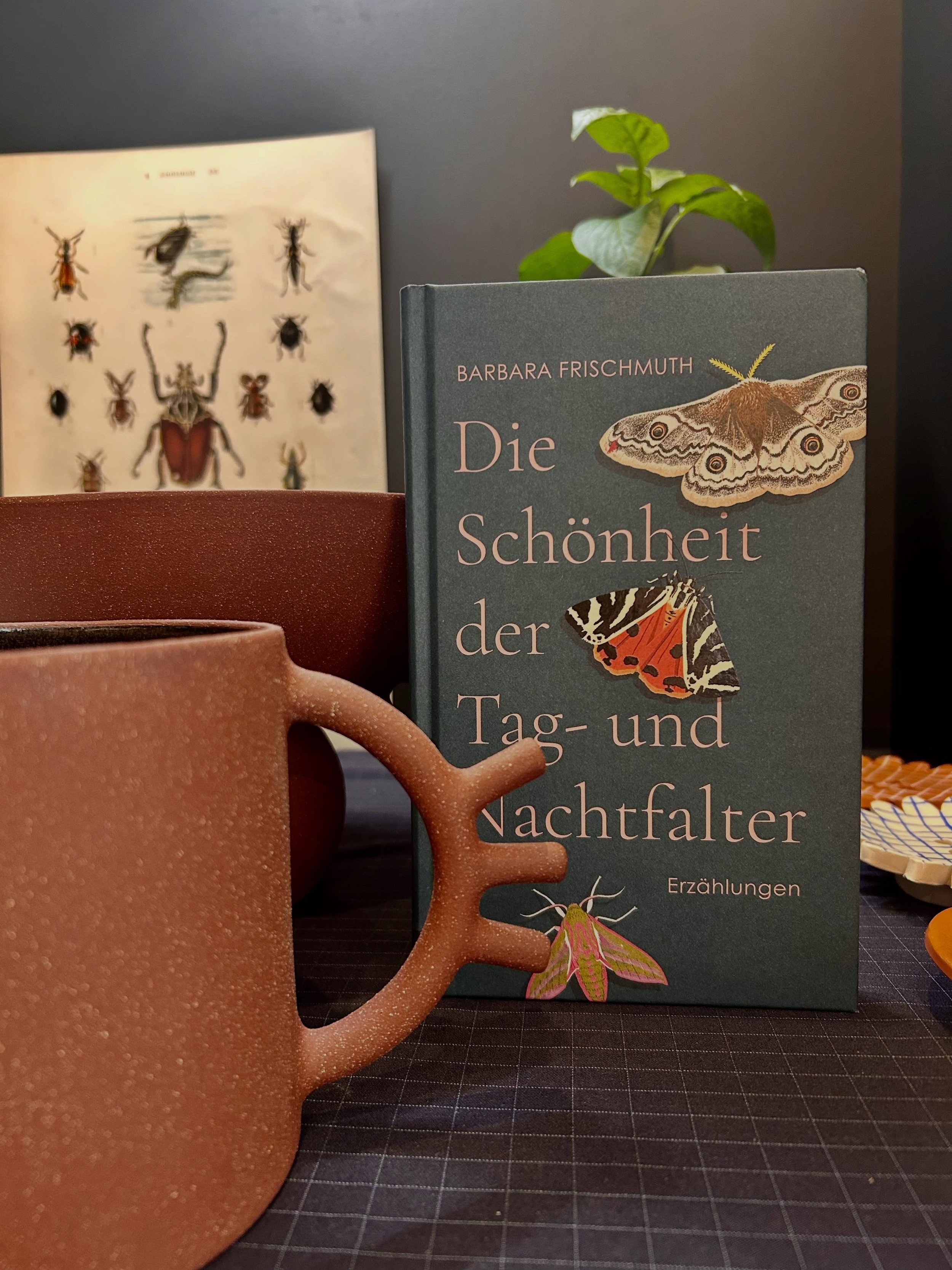 Die neusten Verbindungen bei @musette.shop 
Im musette shop werden Themen im Dialog verschiedener Perspektiven erfahrbar.
Aktuell: &bdquo;Entomologin&ldquo;, mitkuratiert von Insektenforscherin @dominique.zimmermann_  vom @nhmwien bis 19.09.
