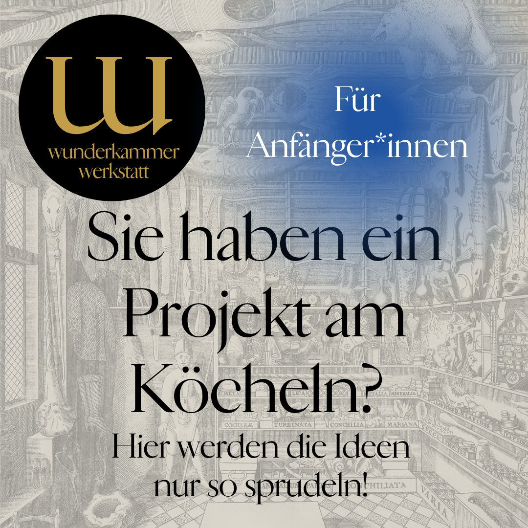 Wunderkammer Werkstatt Workshop für Anfänger*innen