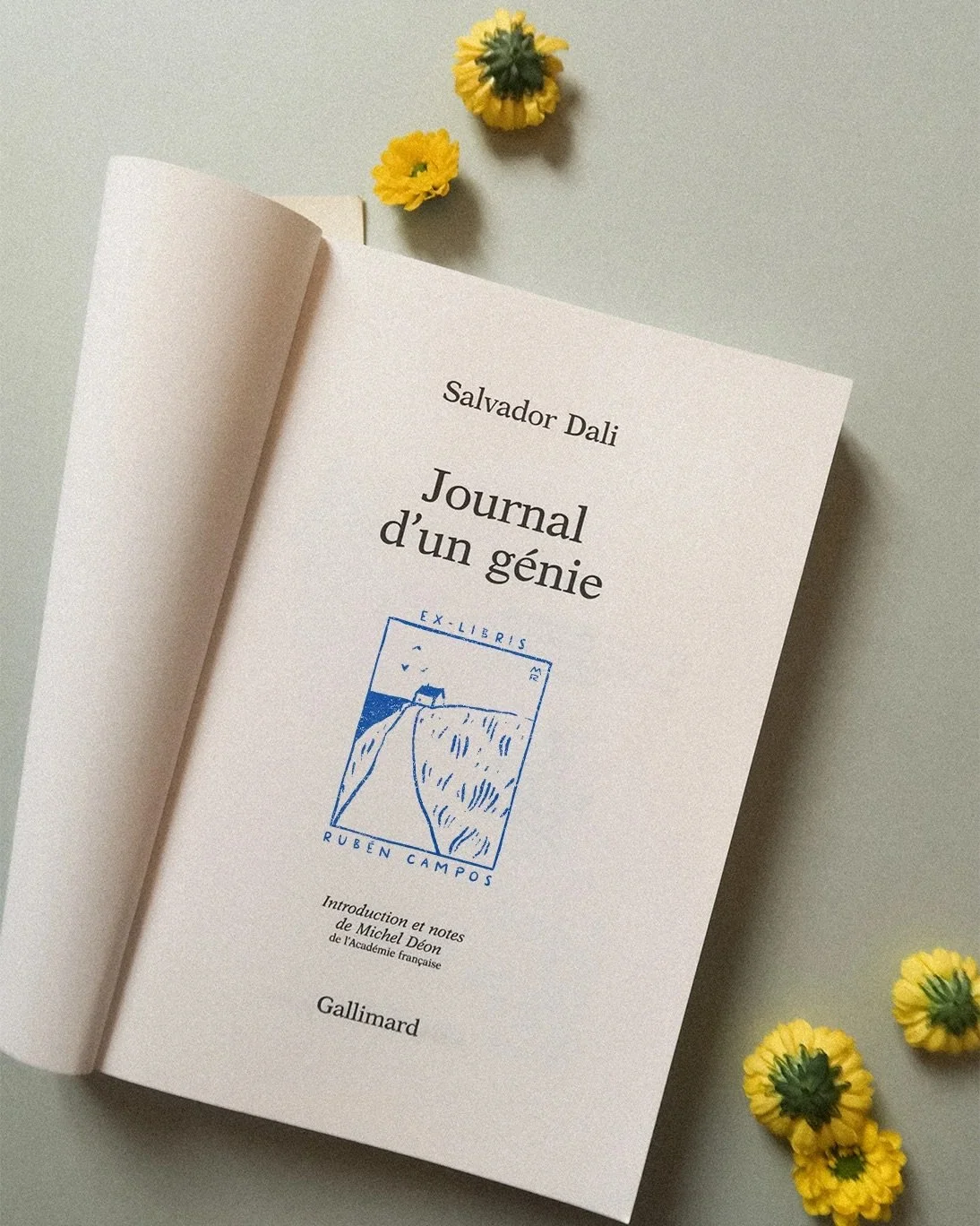 l-envie-BOOK.jpeg