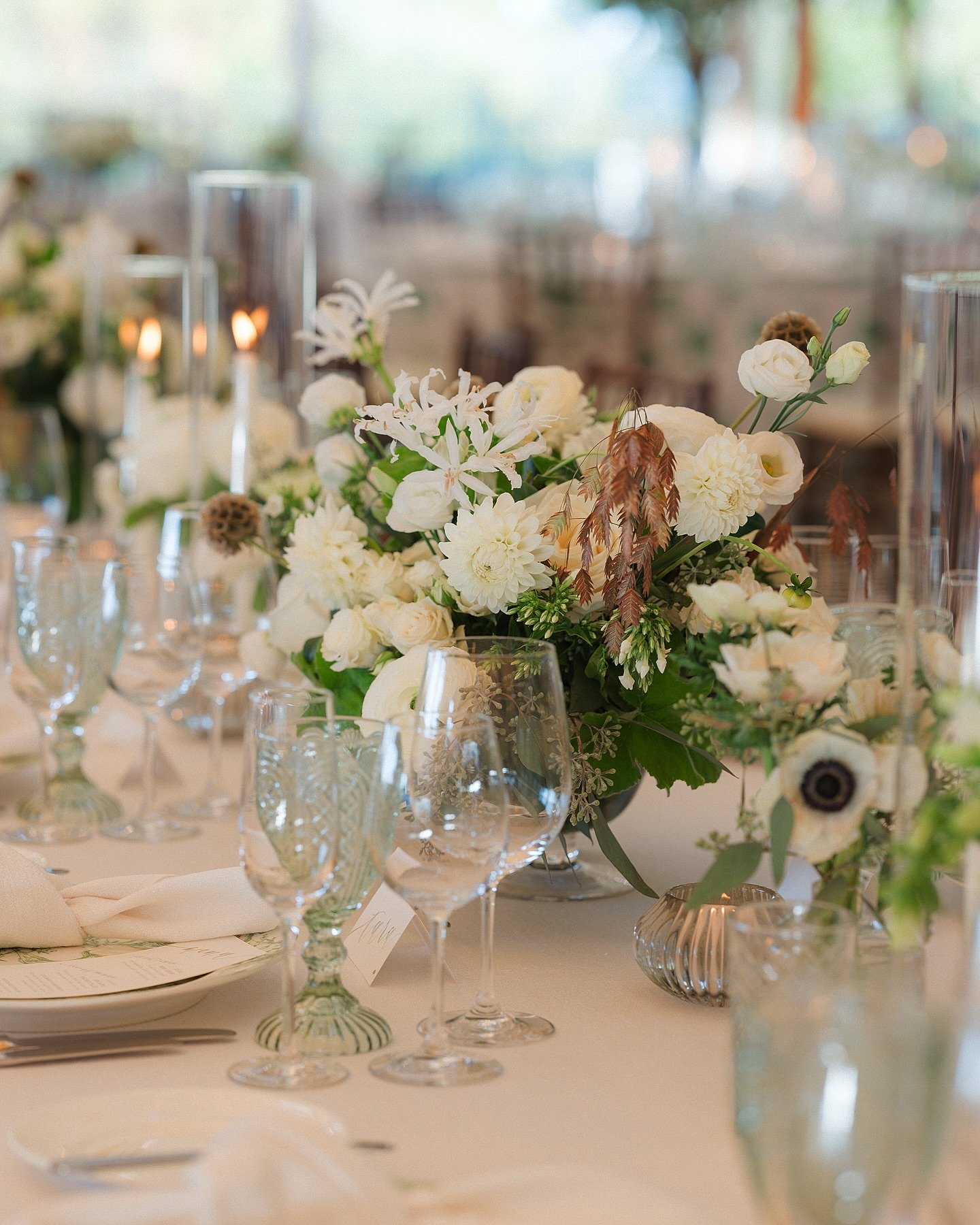 dreamy details from Maddie &amp; Roberto&rsquo;s golden October celebration at @castlehillinn

venue: @castlehillinn 
makeup: @thehouseofkittydunbar 
hair: @kerribhairstyles @katebensonbeauty 
florals: @figandsquill
photography: @georgiemorleyphotogr