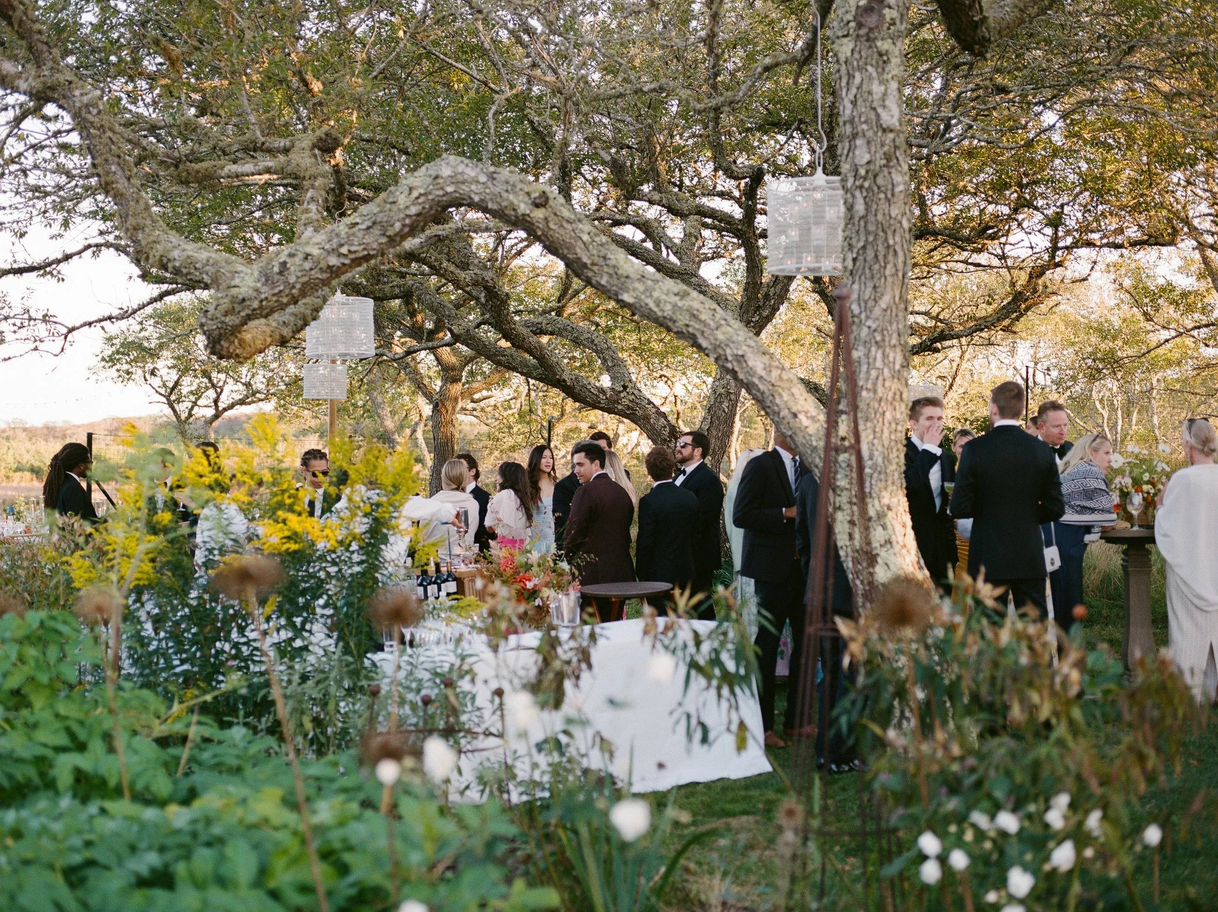 People gathered outdoors under a large tree, dressed in formal attire with a table of food and drinks in an event setting.