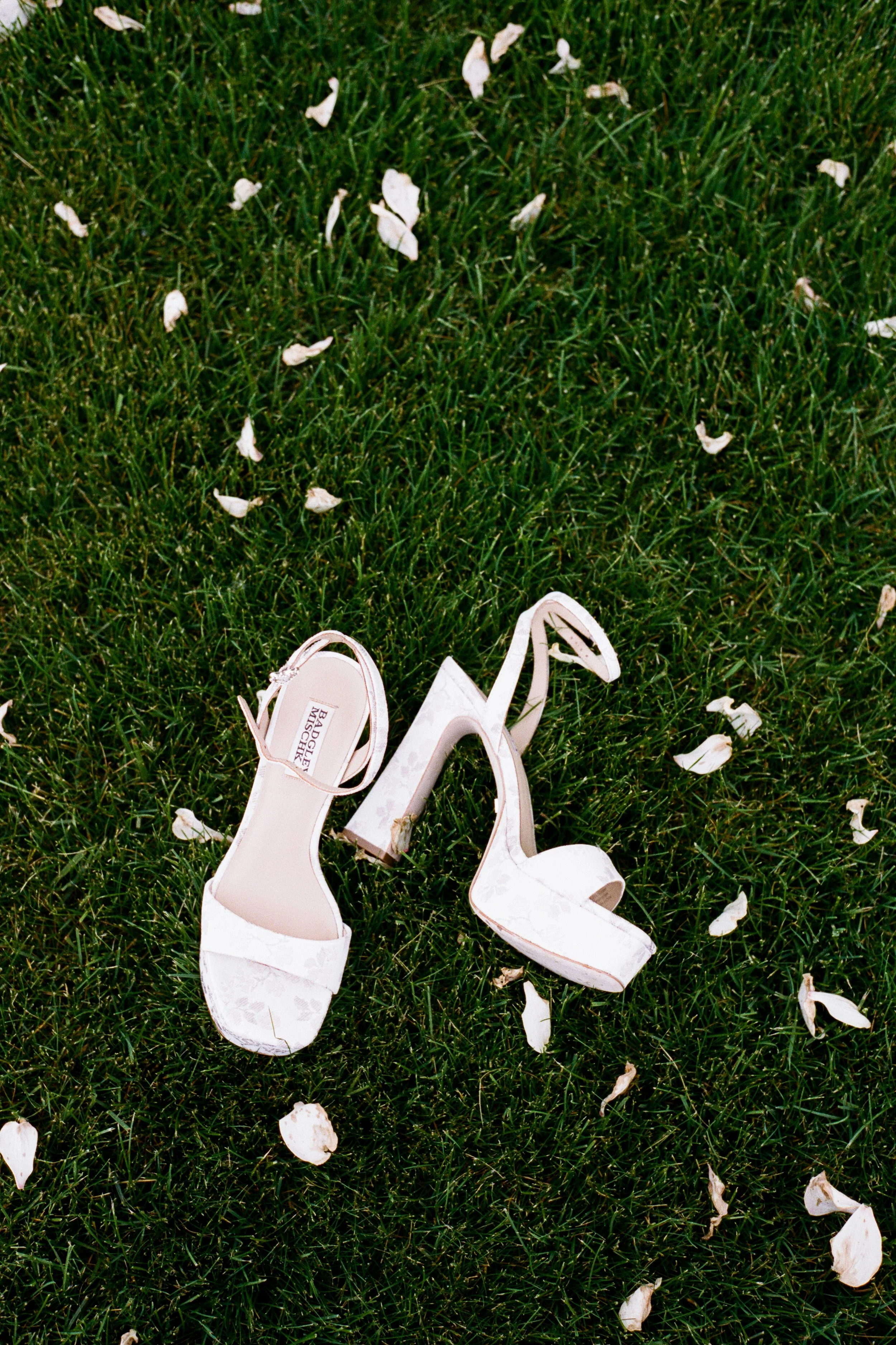 A pair of pale pink high-heeled shoes placed on green grass surrounded by scattered white flower petals.