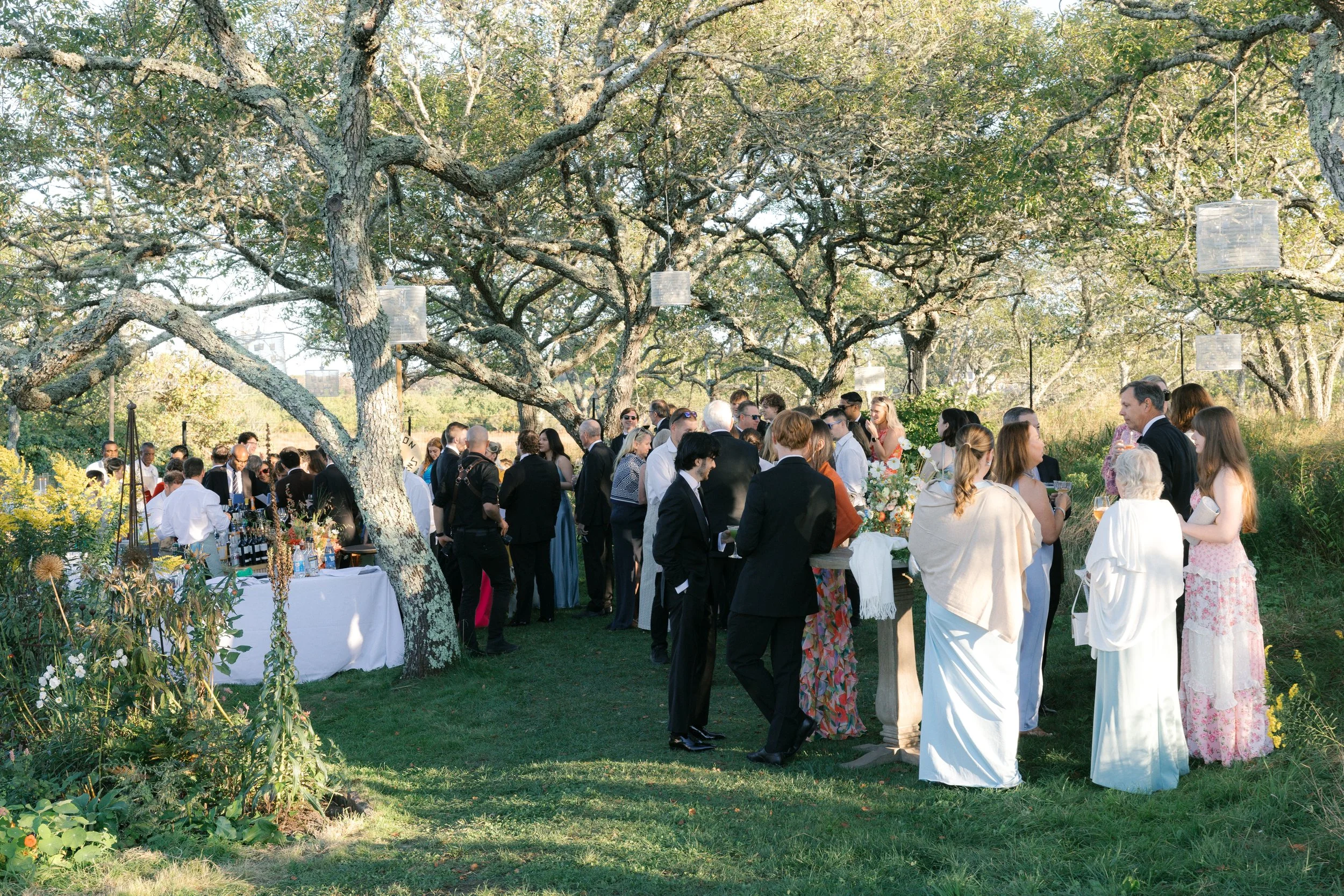 A group of people attending an outdoor event or celebration under large, sprawling trees with hanging lanterns, dressed in formal and semi-formal attire, gathered around a table with drinks and decorations in a natural setting.