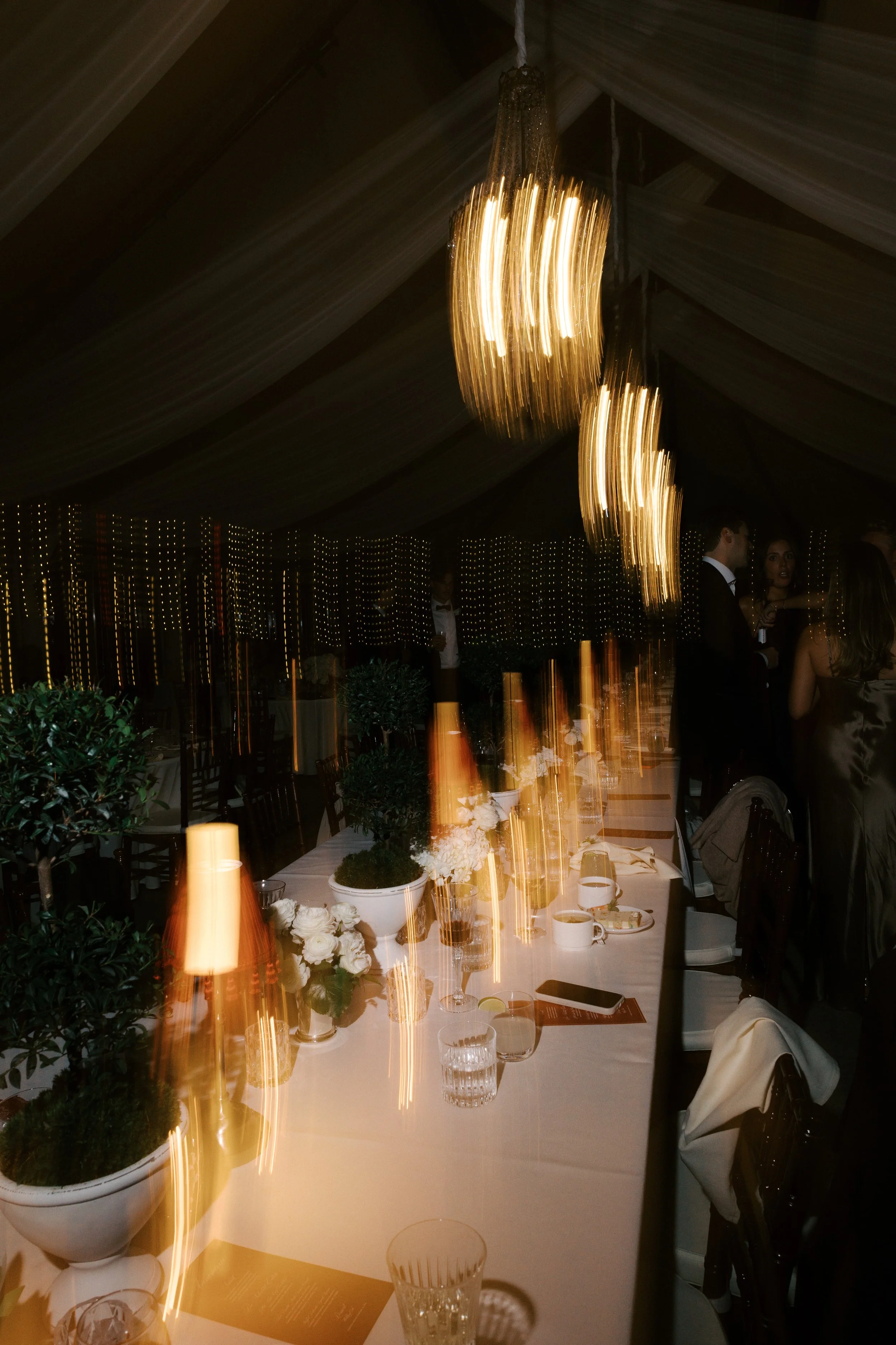 A long banquet table decorated with potted plants and flowers, set for a formal event in a dimly lit venue with people standing and talking in the background, and large, ornate hanging lights above.