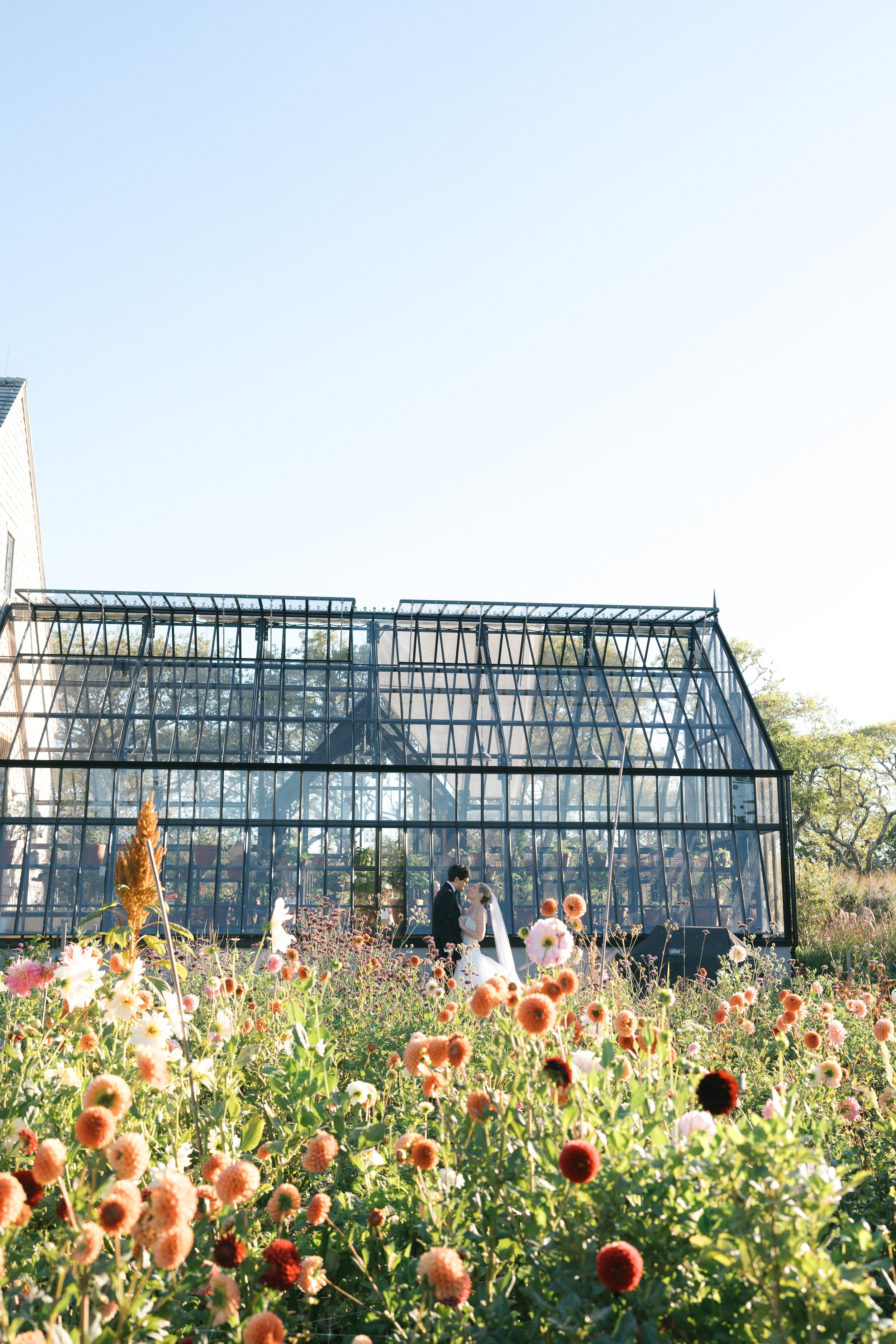 A couple in wedding attire standing inside a greenhouse with glass panes, surrounded by a garden of colorful flowers with tall plants and green trees in the background.