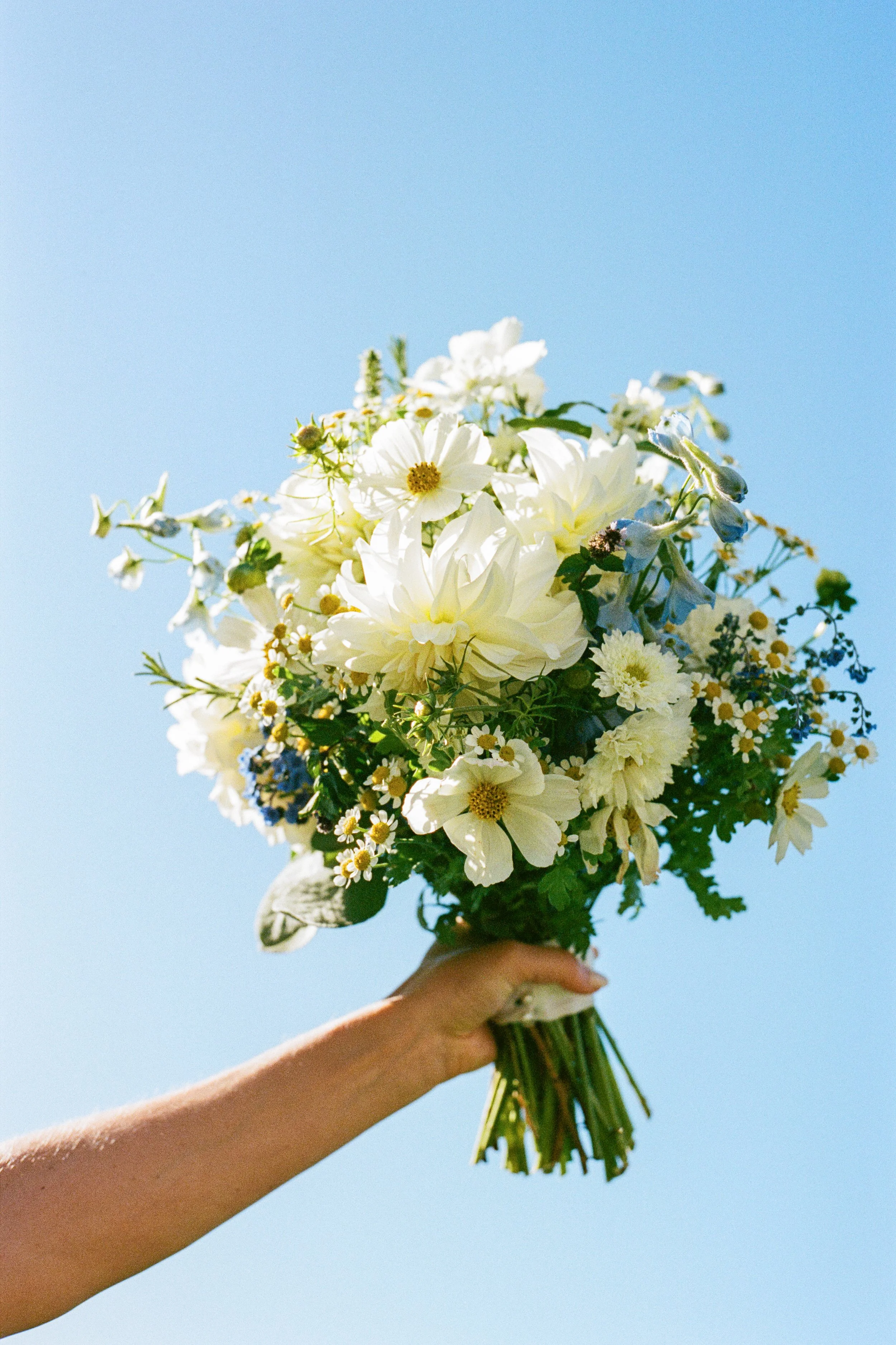Person holding a bouquet of white and yellow flowers against a clear blue sky.