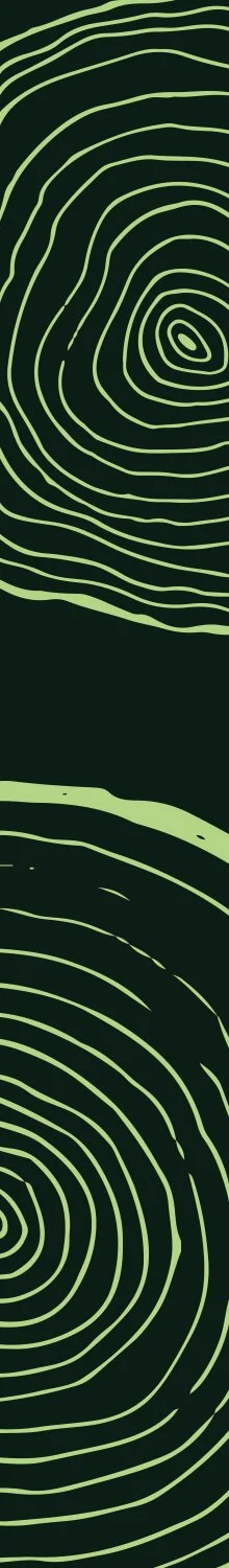 Motif de lignes vertes imitant des empreintes de doigts sur un fond noir.