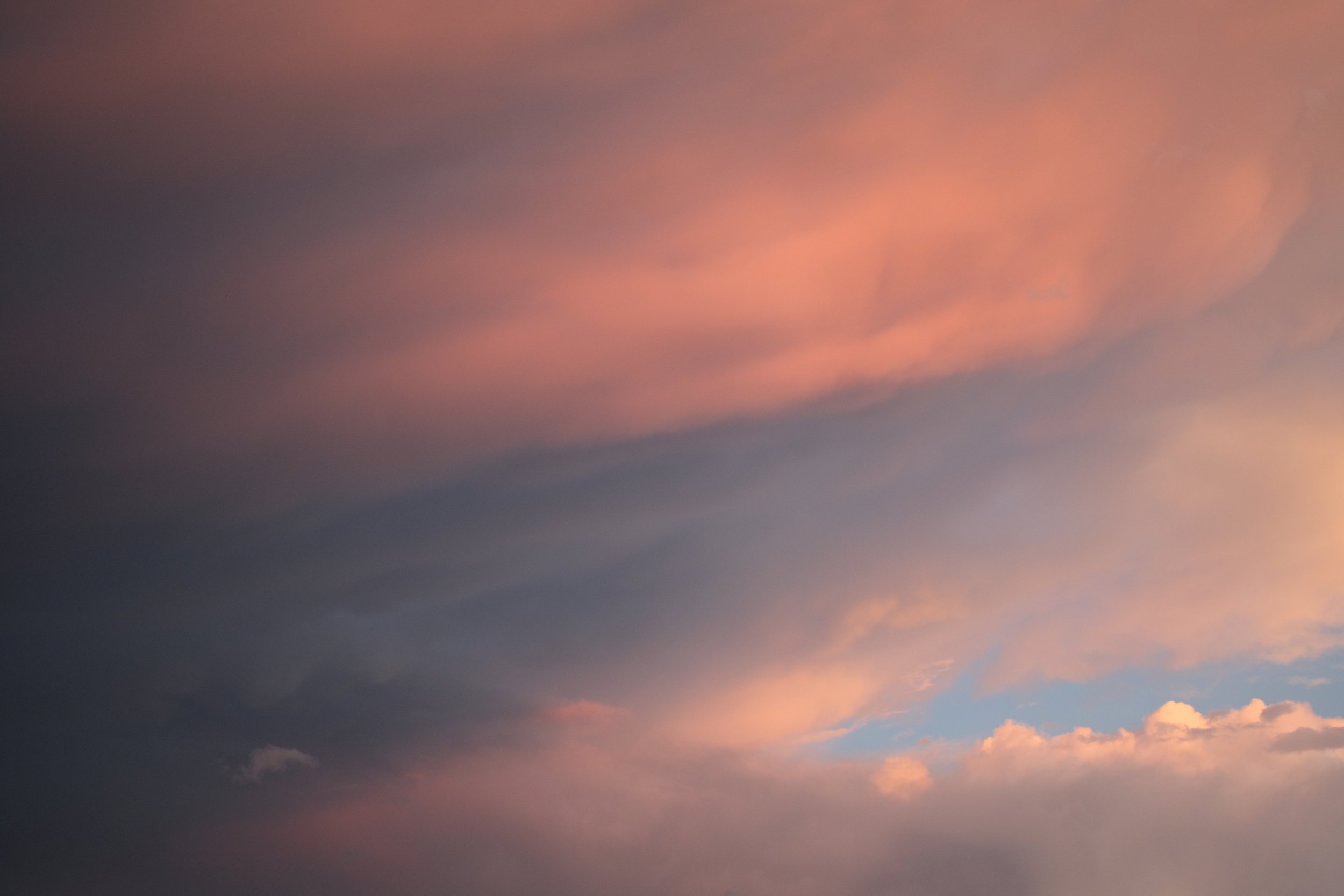 _DSF0412 sRGB.jpg