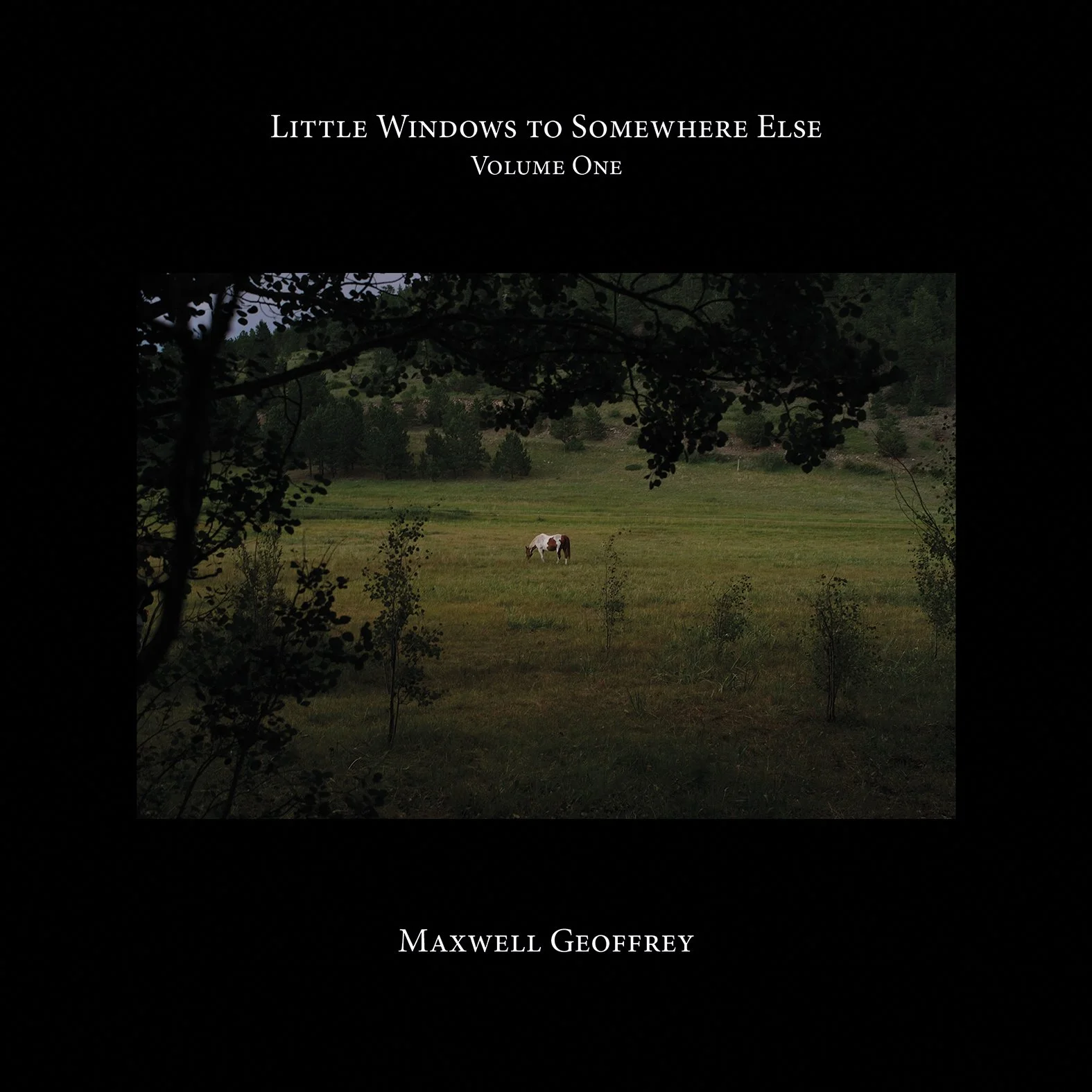 LWtSE Front Cover for Web.jpg