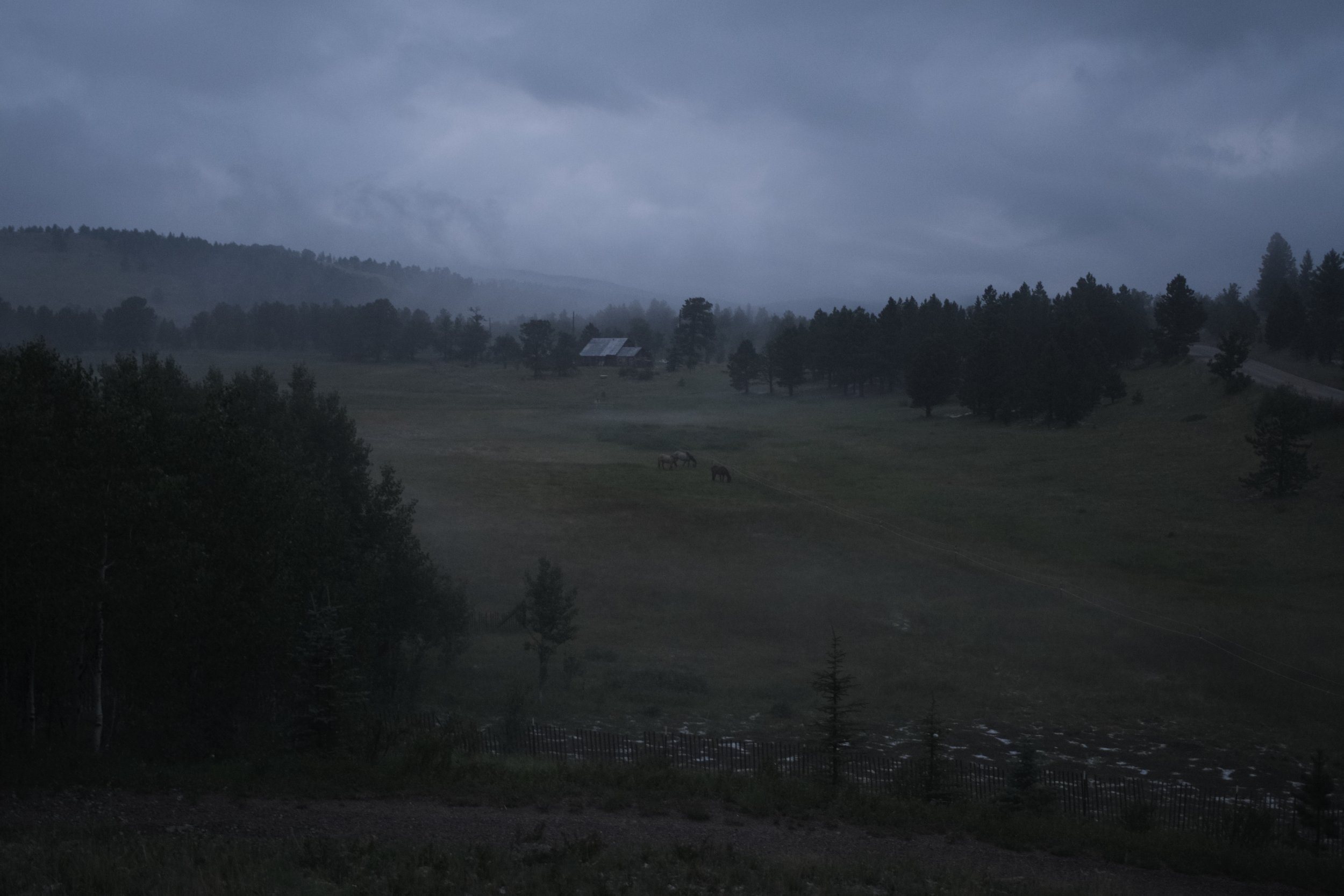 _DSF0373 sRGB.jpg