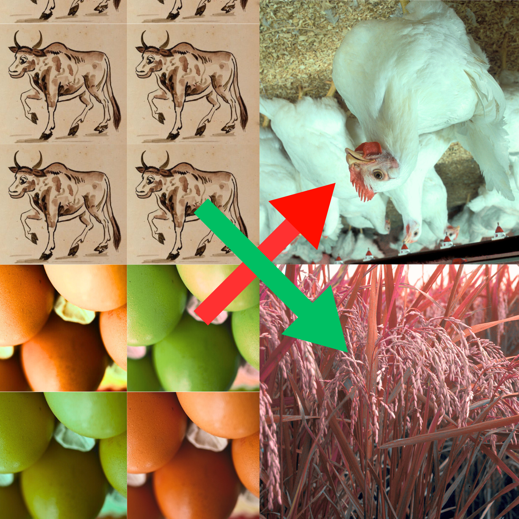 Staple food prices split between stable and surging