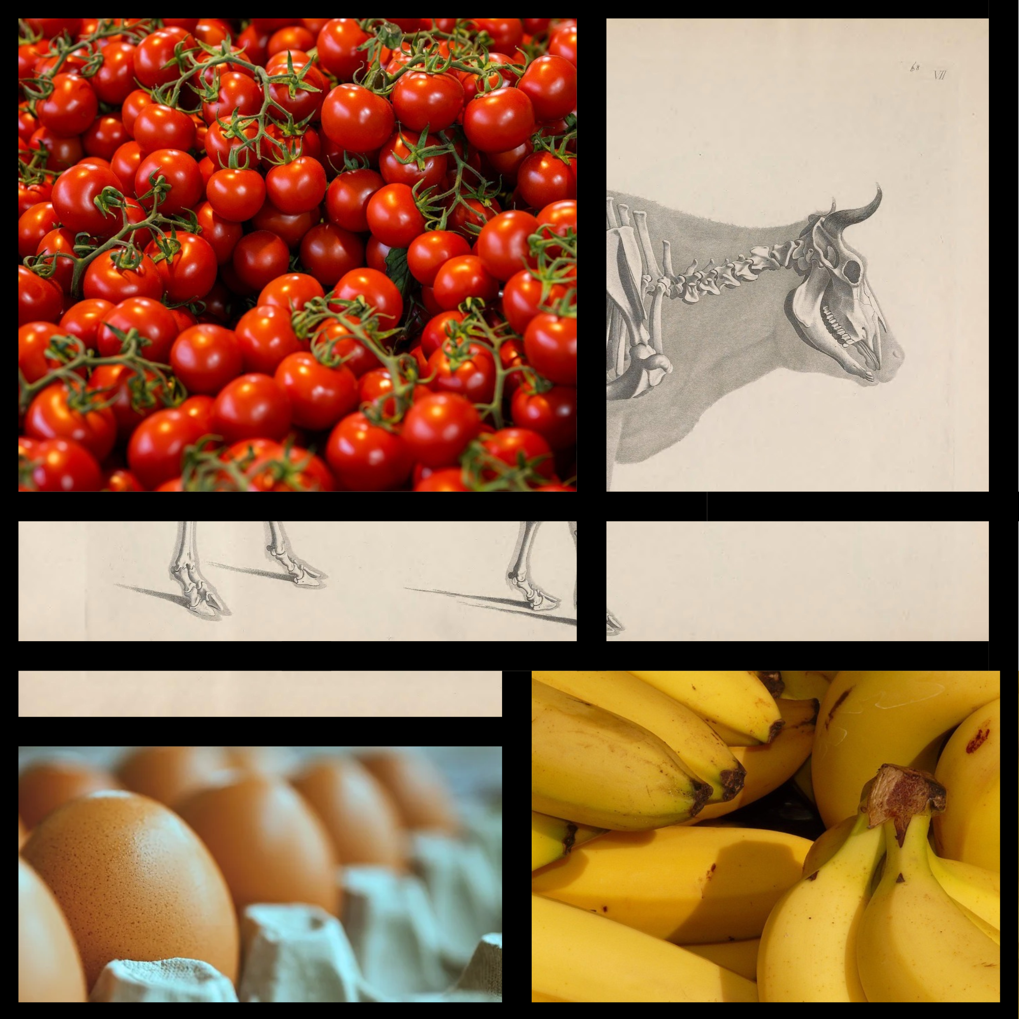 Food price inflation slows, ‘but the damage has been done’