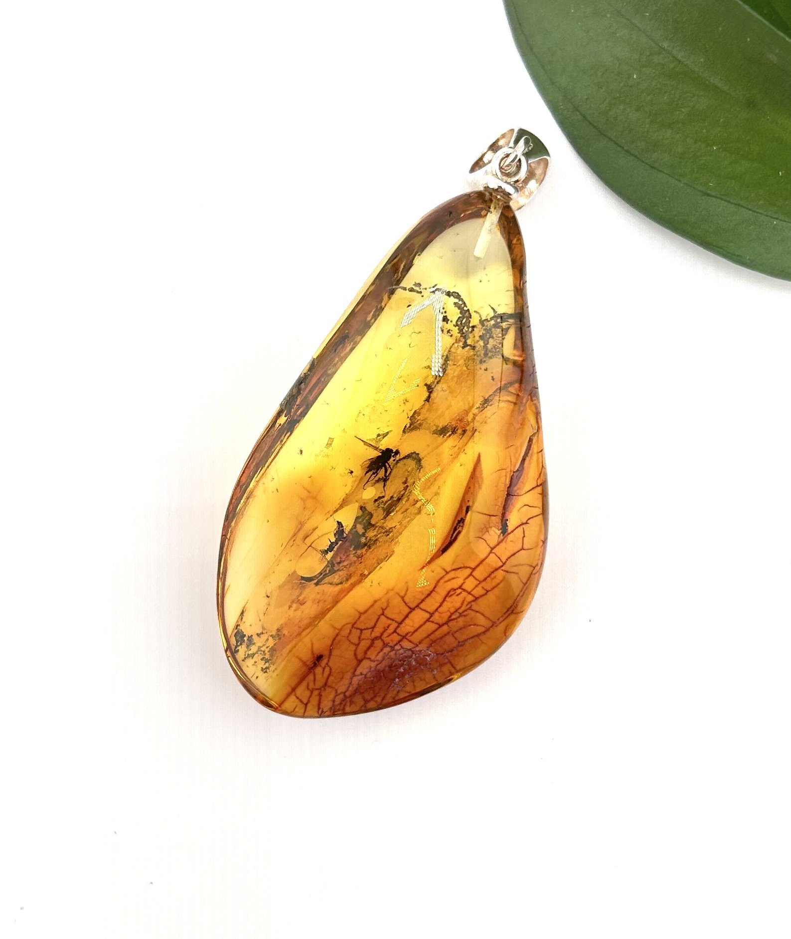 Baltic amber pendant with an insect
