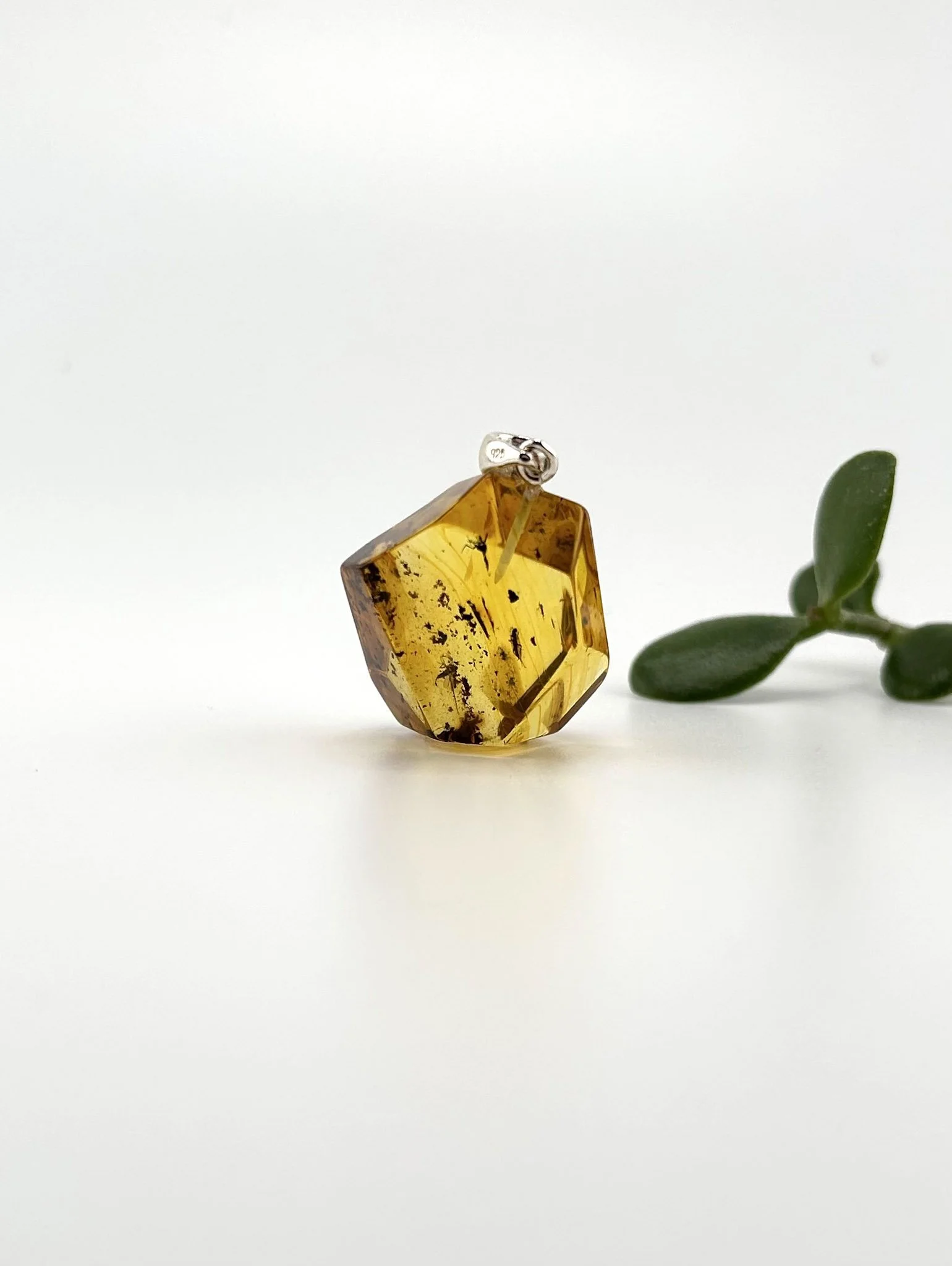Baltic Amber Pendant with Insect Inclusion