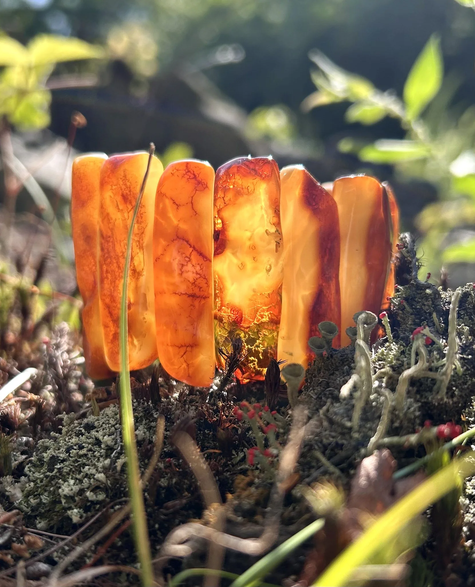 Queen's Treasure – Heritage | Genuine Baltic Amber Statement Bracelet