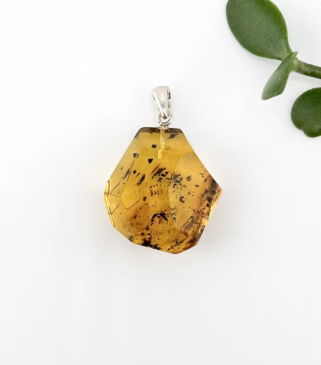 IMG_8468.jpg