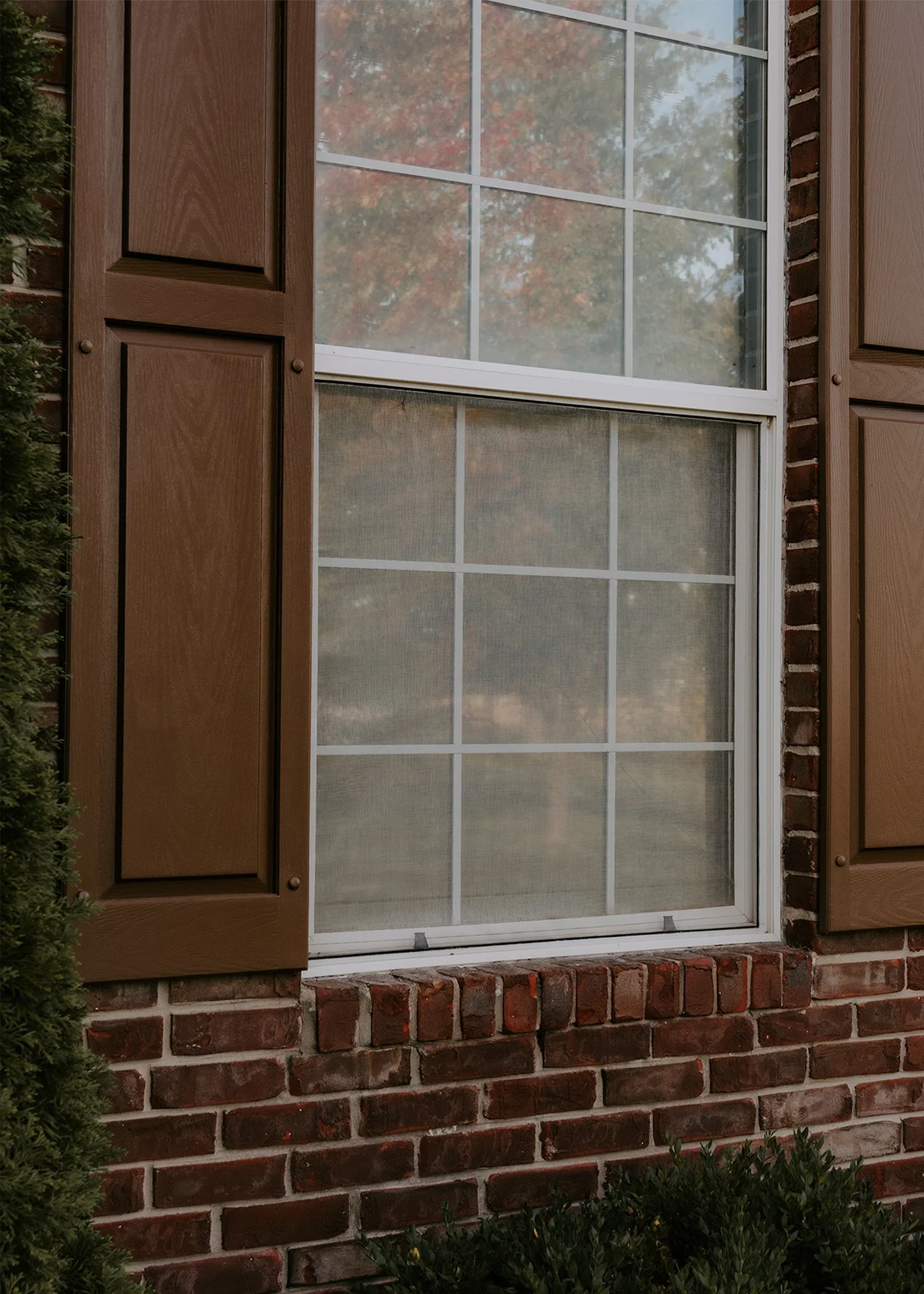 Window.jpg