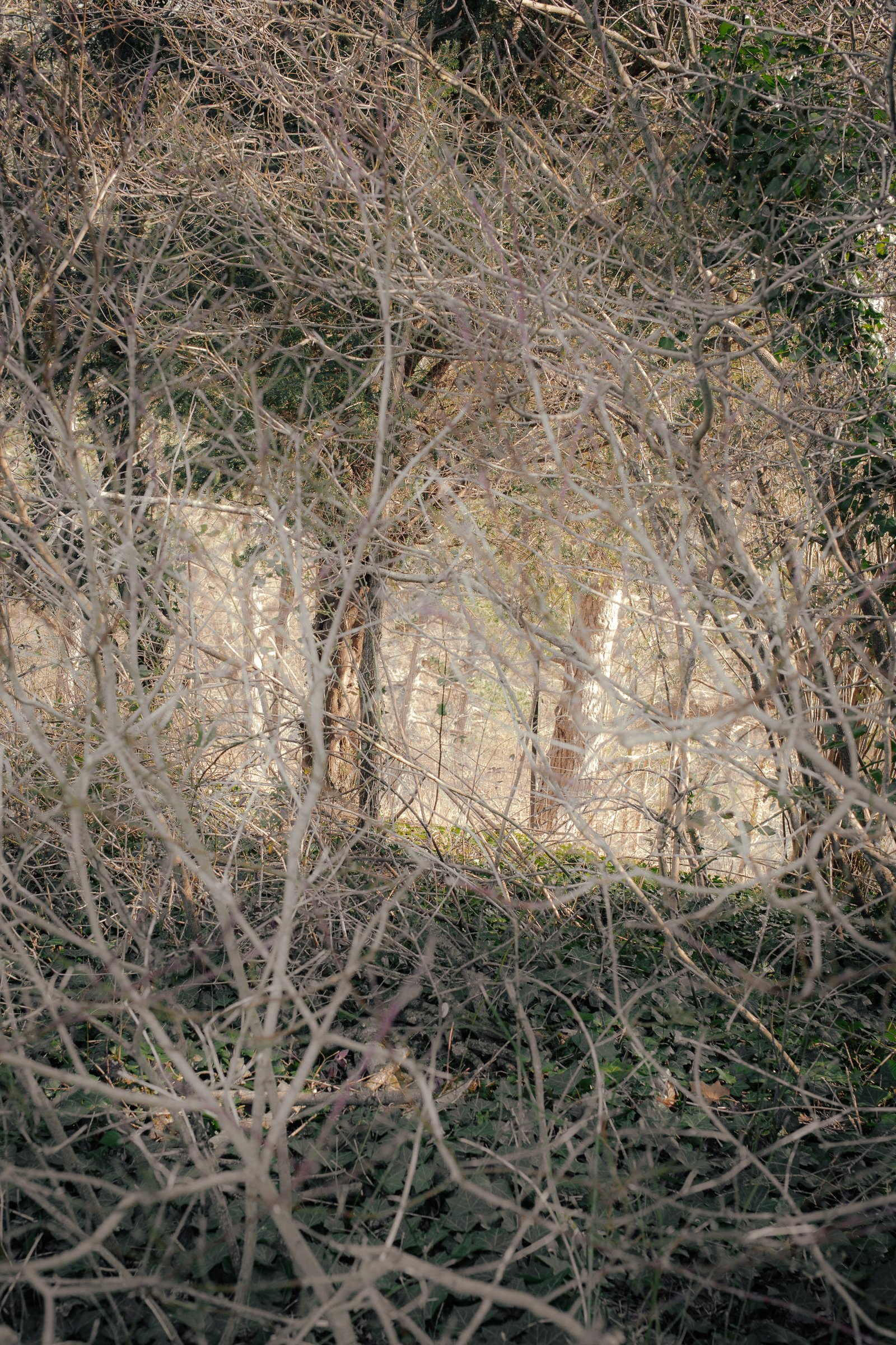 Shoot 6 First Edits-5.jpg