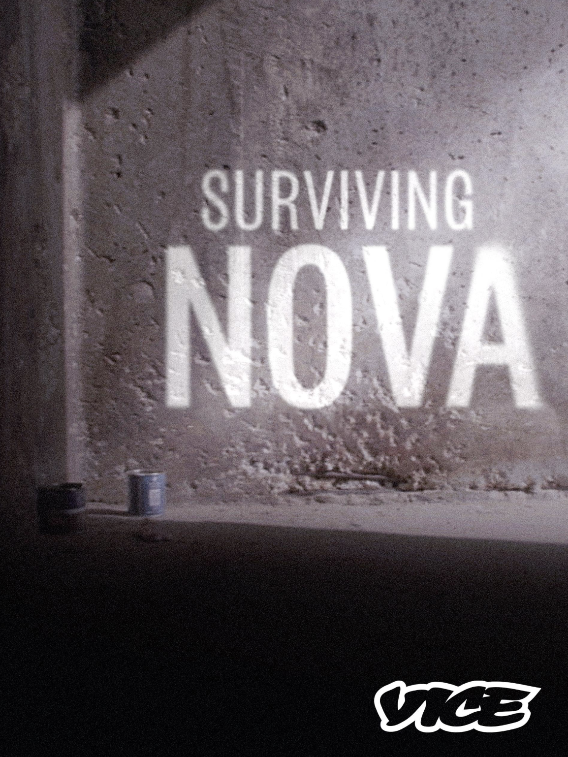 Surviving Nova