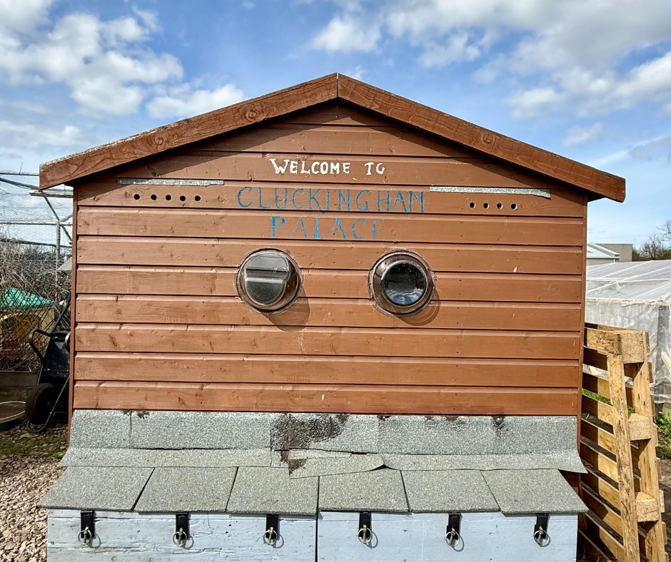 Untitled design (2).png