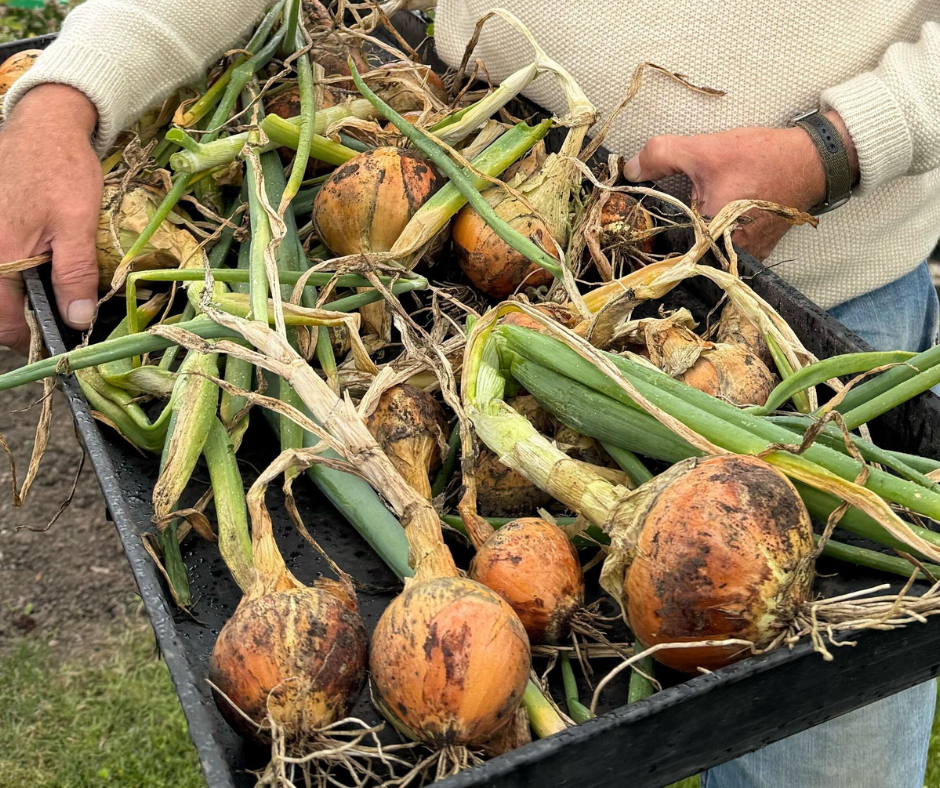 Moray’s first-ever Community Garden Festival 