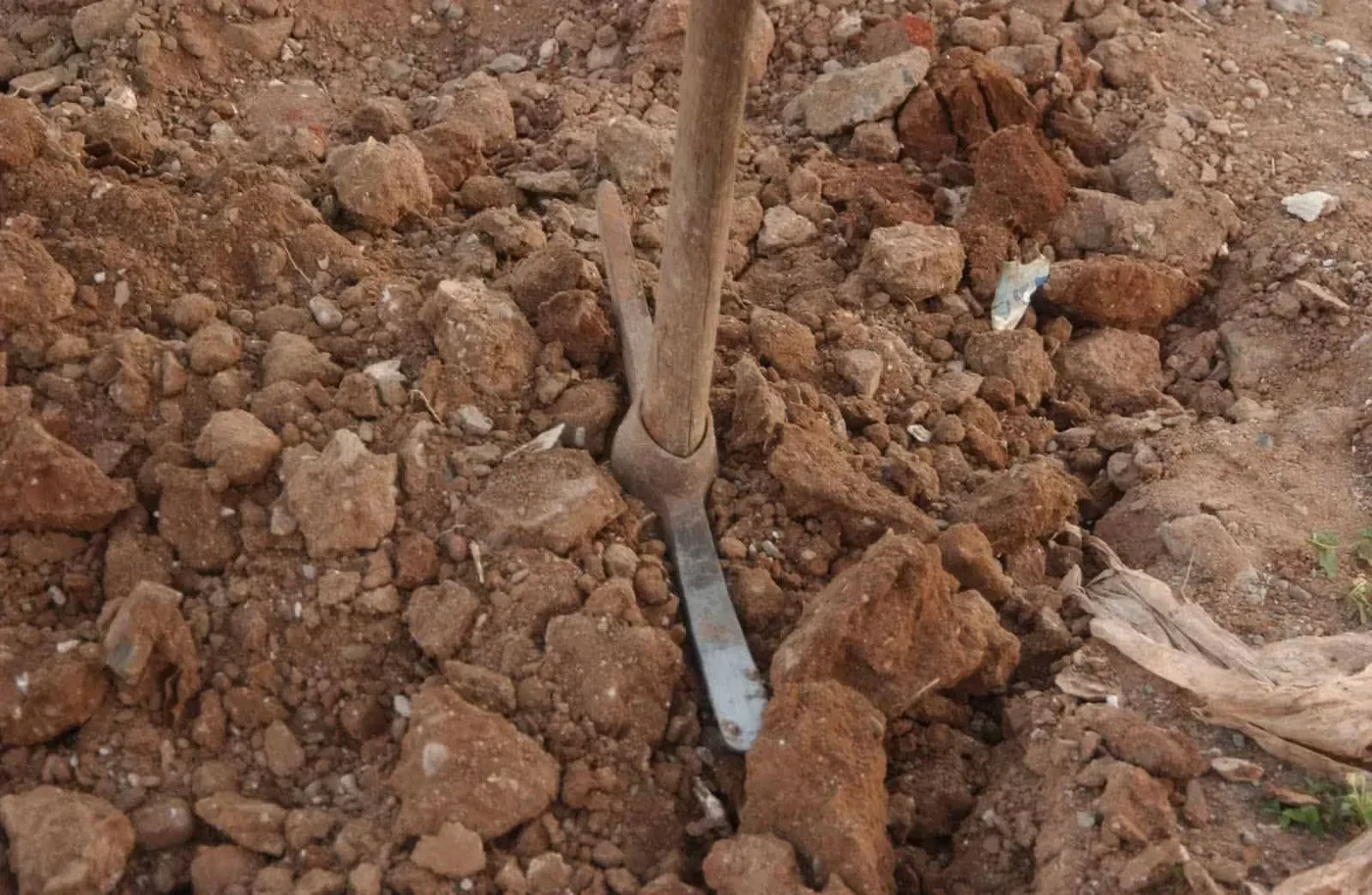 Wooden-handled shovel stuck into dry, compacted clay soil broken into rocky reddish-brown chunks