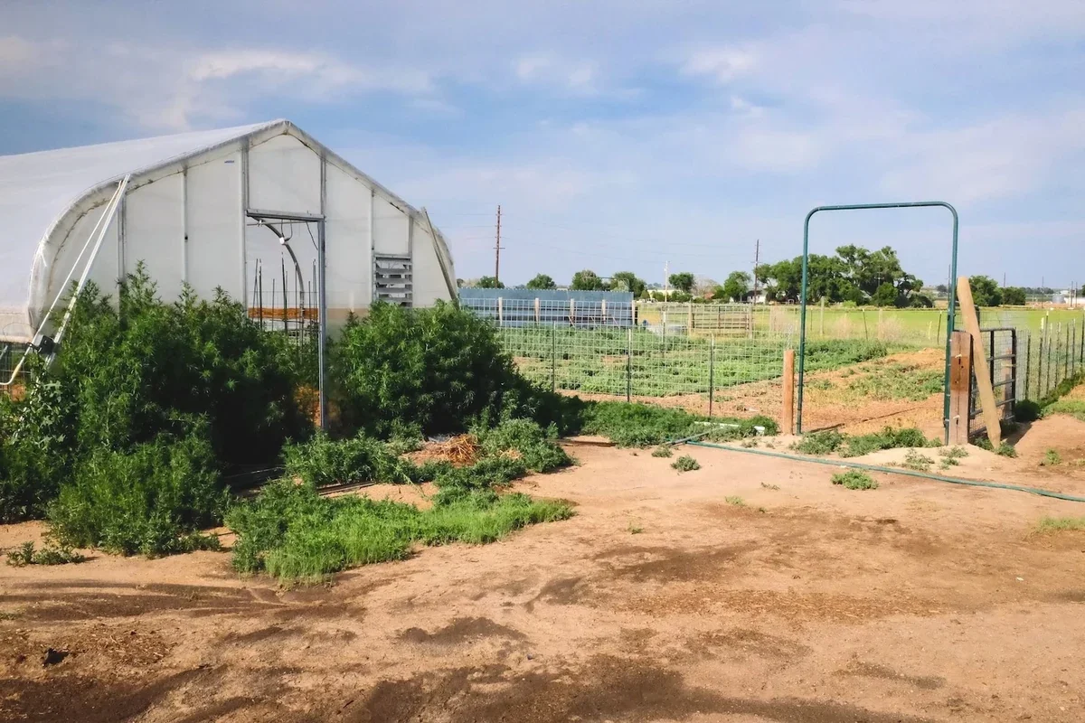White hoop greenhouse next to fenced crop rows under a blue sky