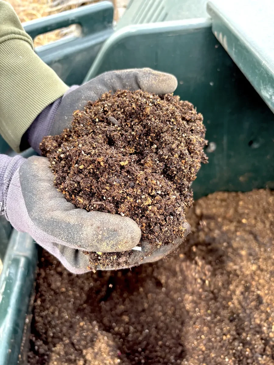 Living Soil Mix