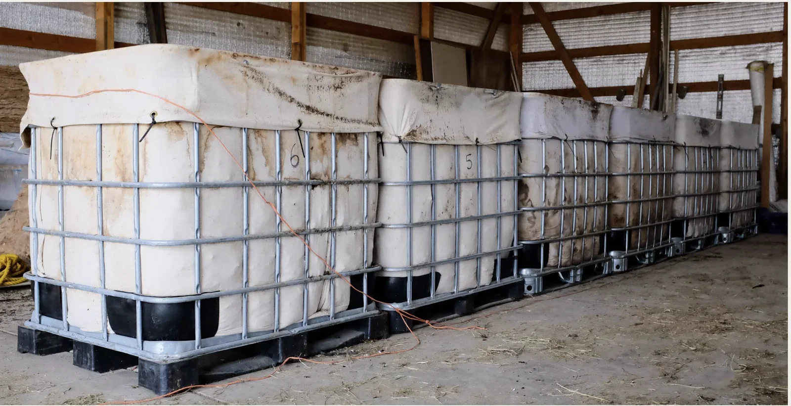 Row of large IBC tote bioreactors with fabric covers lined up on the dirt floor inside a wooden barn