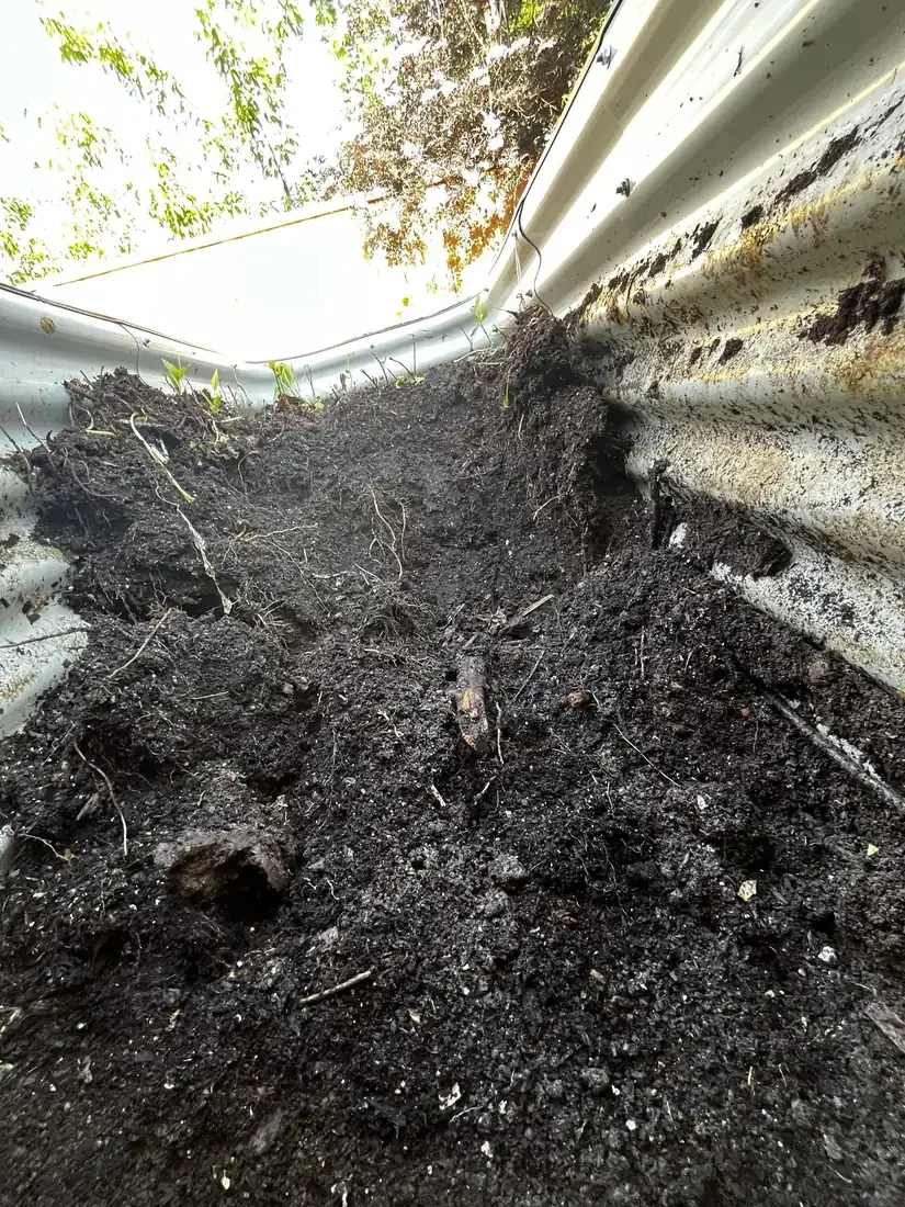 Inside a corrugated metal raised bed showing dark compost layered over wood and roots