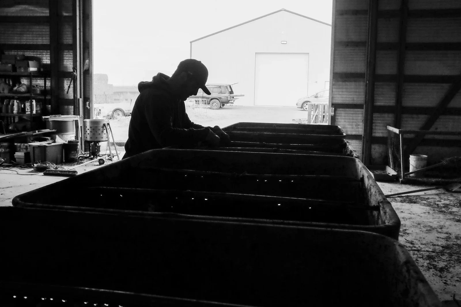 Silhouetted figure in a baseball cap leaning over long rows of dark compost troughs inside a barn, sunlight streaming through the open doors