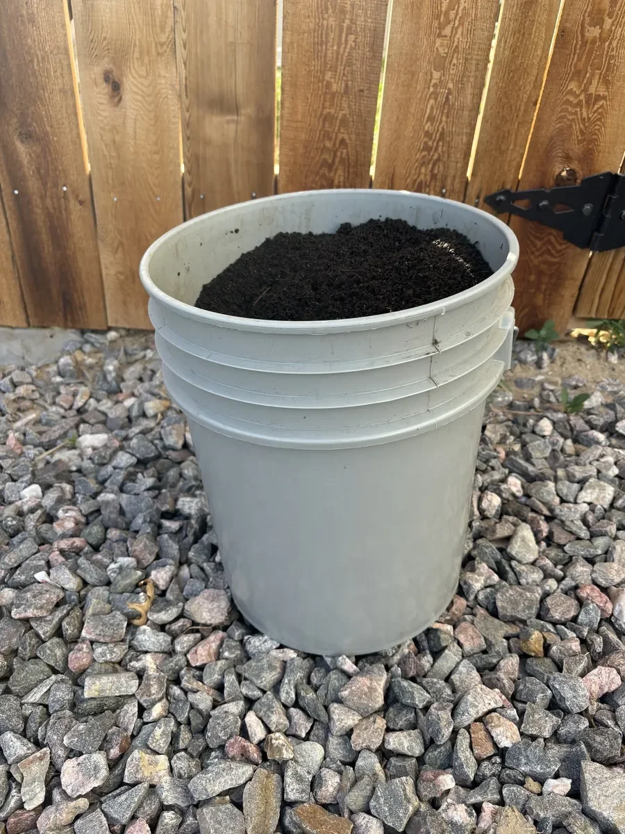 Worm Castings
