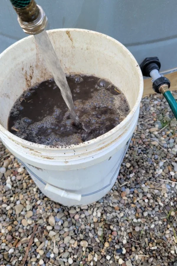 Worm Castings Extract & Teas