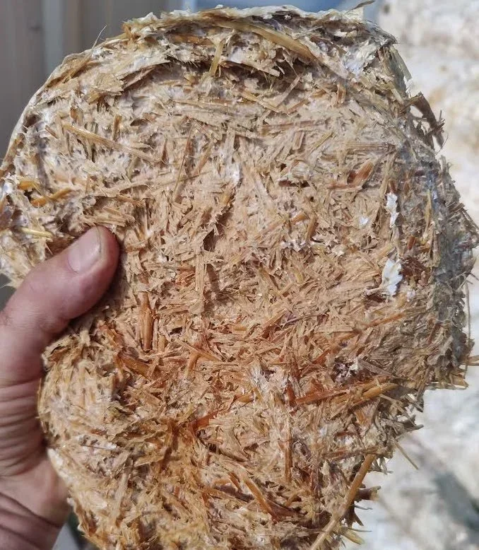 Mushroom Straw Mulch