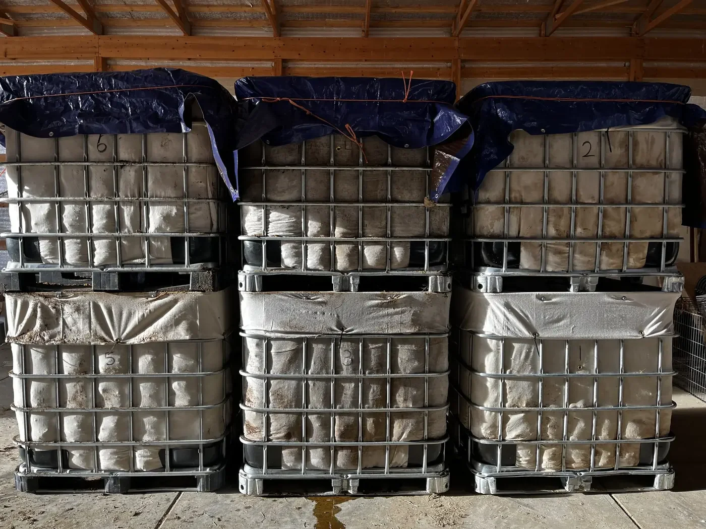 Six stacked IBC tote bioreactors with white fabric covers and dark blue tarps, numbered "6" and "2", inside a wooden barn