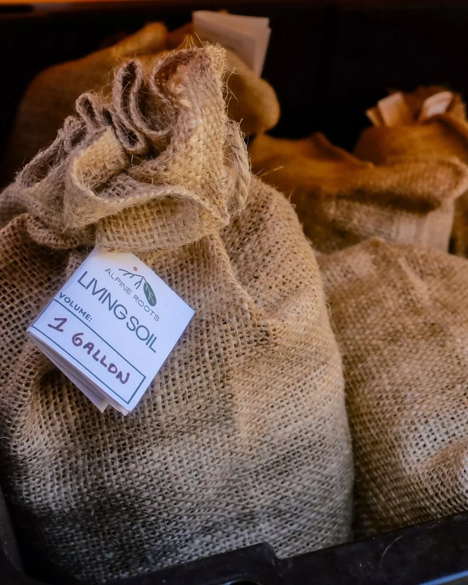 Burlap sack of Alpine Roots Living Soil Mix labeled "1 Gallon" with the Alpine Roots logo, displayed alongside additional bagged units