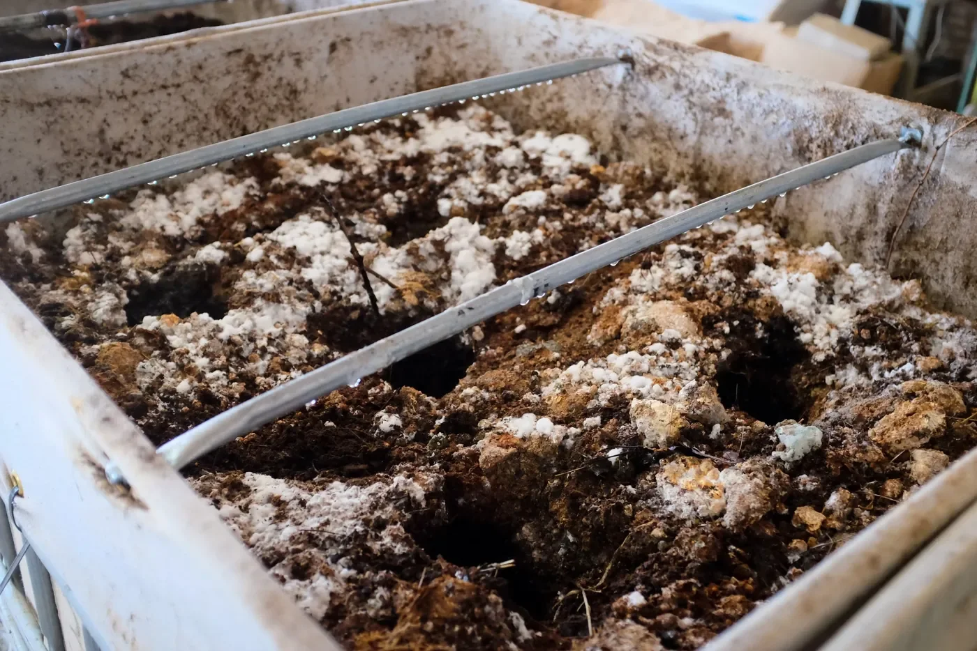 Johnson-Su Compost