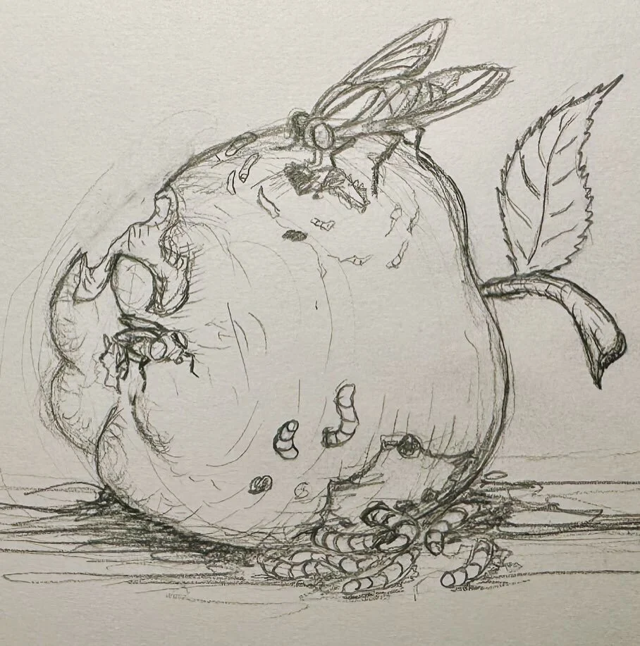 Day 17: Rotten fruit
This one will remain a pencil sketch. I like the looks
Might keep going at it in the future and add more details
.
.
.
#rotten #sketch #fruit #apple #maggots #fly #fruitfly