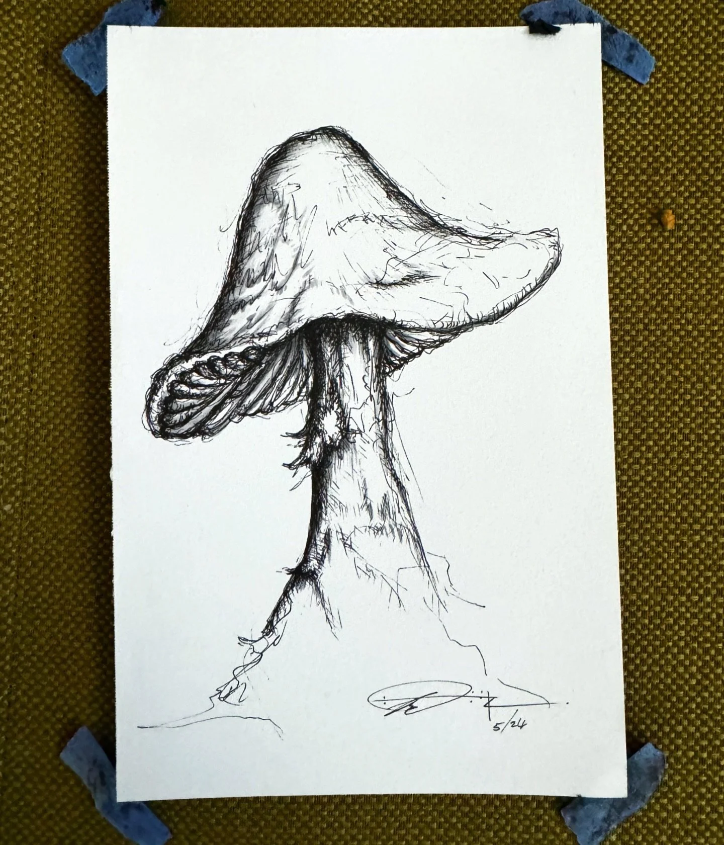 Ignore the crumbs
.
#mushroomart #mushroom #sketch #drawing #artofinstagram