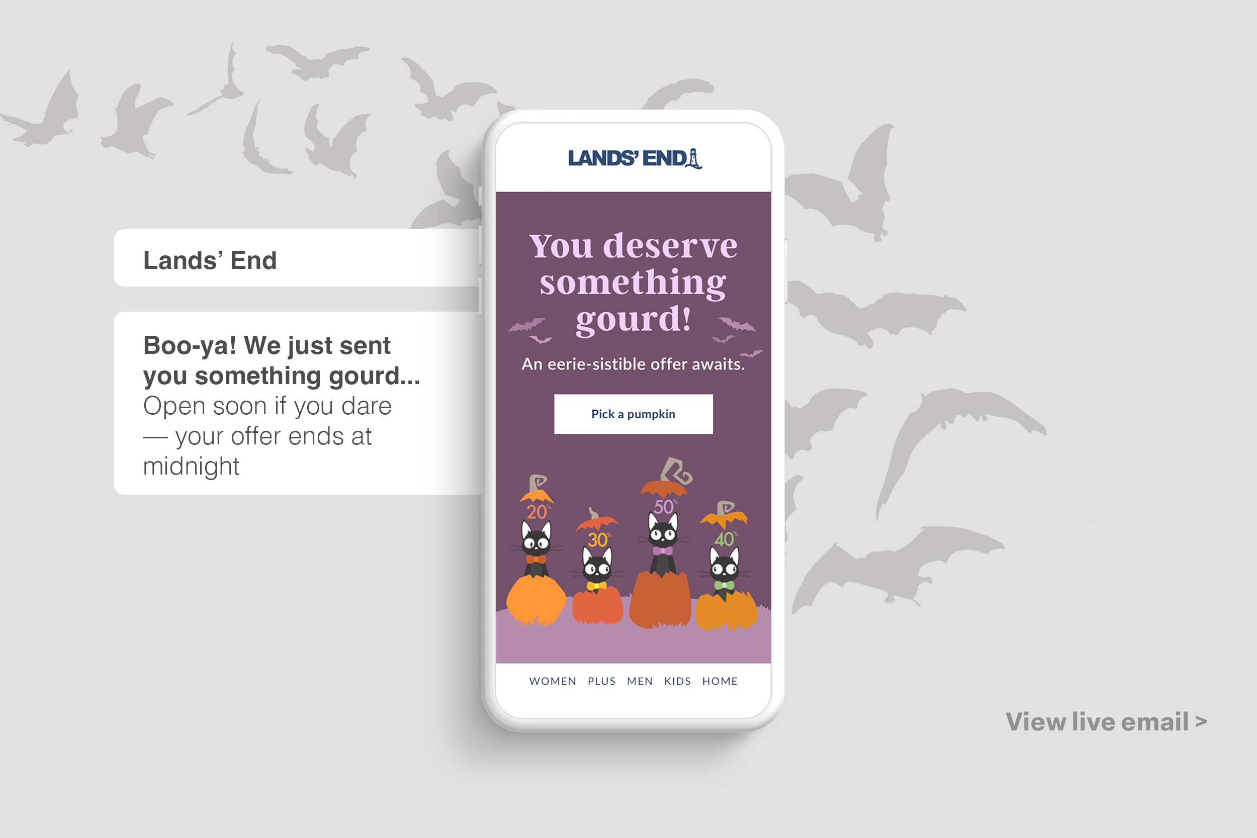 Lands End Mystery Sale Halloween email