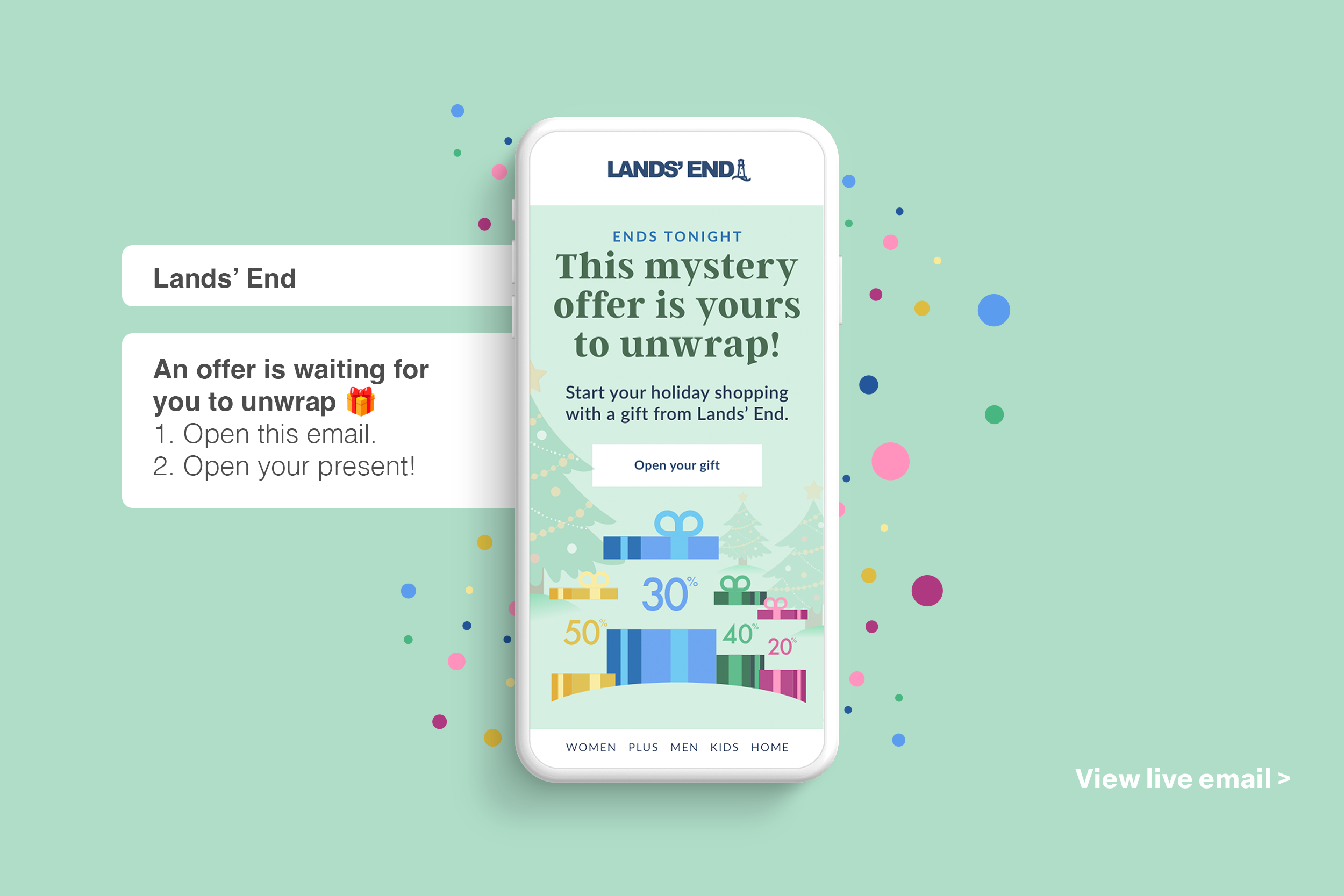 Lands End Mystery Sale Holiday email