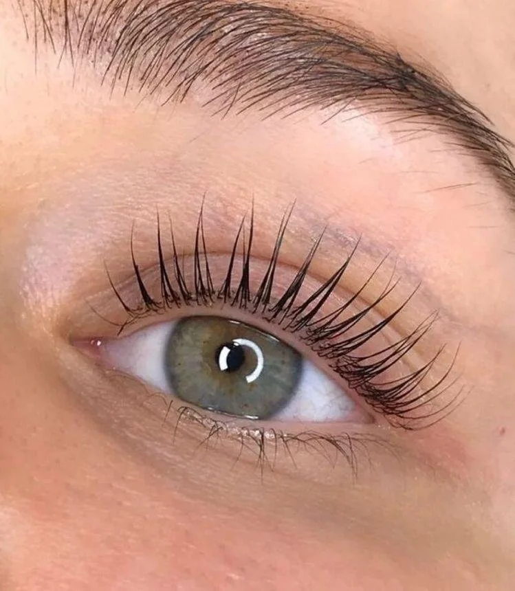 Close-up of a human eye with long eyelashes and well-groomed eyebrow.