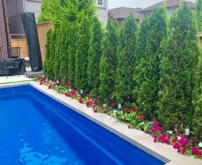 A backyard with a swimming pool, tall green trees along the fence, and coloruful flowers lining the poolside.