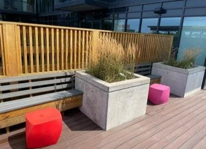 Outdoor area with a wooden fence, large concrete planters with ornamental grasses,