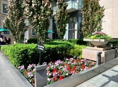 City sidewalk with flower beds, green shrubs, trees, and a modern building in the background.