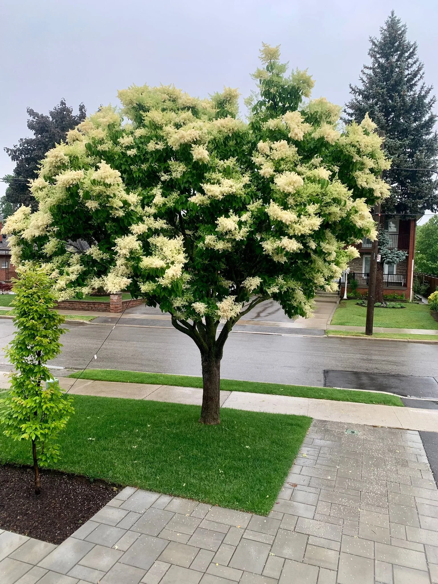 WhatsApp Image 2024-02-27 at 1.55.41 PM.jpeg