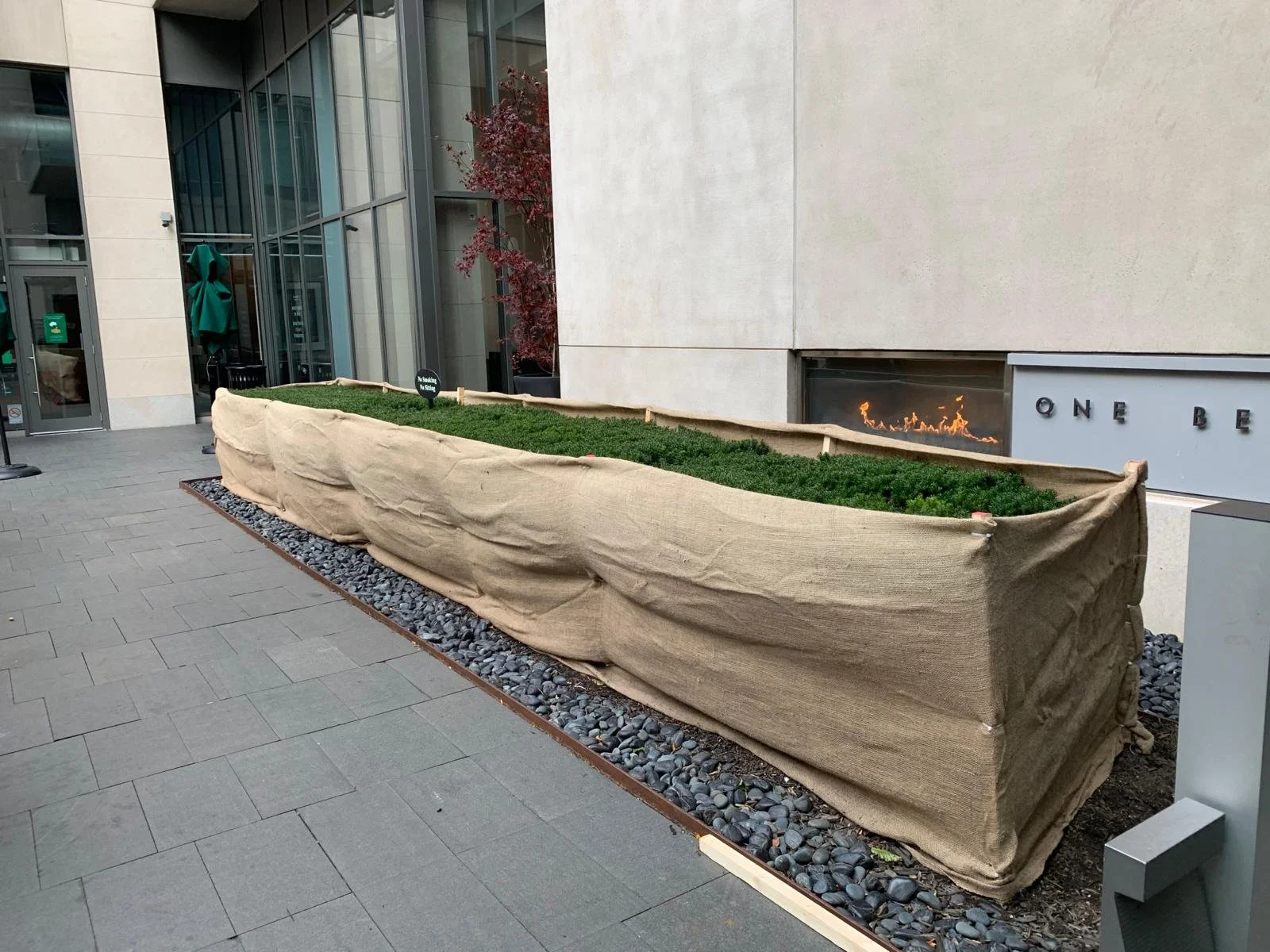 Large rectangular planter , filled with green ground cover, situated on a paved sidewalk o
