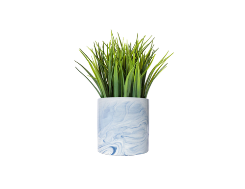 Green grass-like plant in a marbled white and blue ceramic pot on a white background.